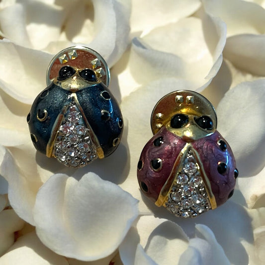 Spilla coccinella anni ‘70 / versione in rosa