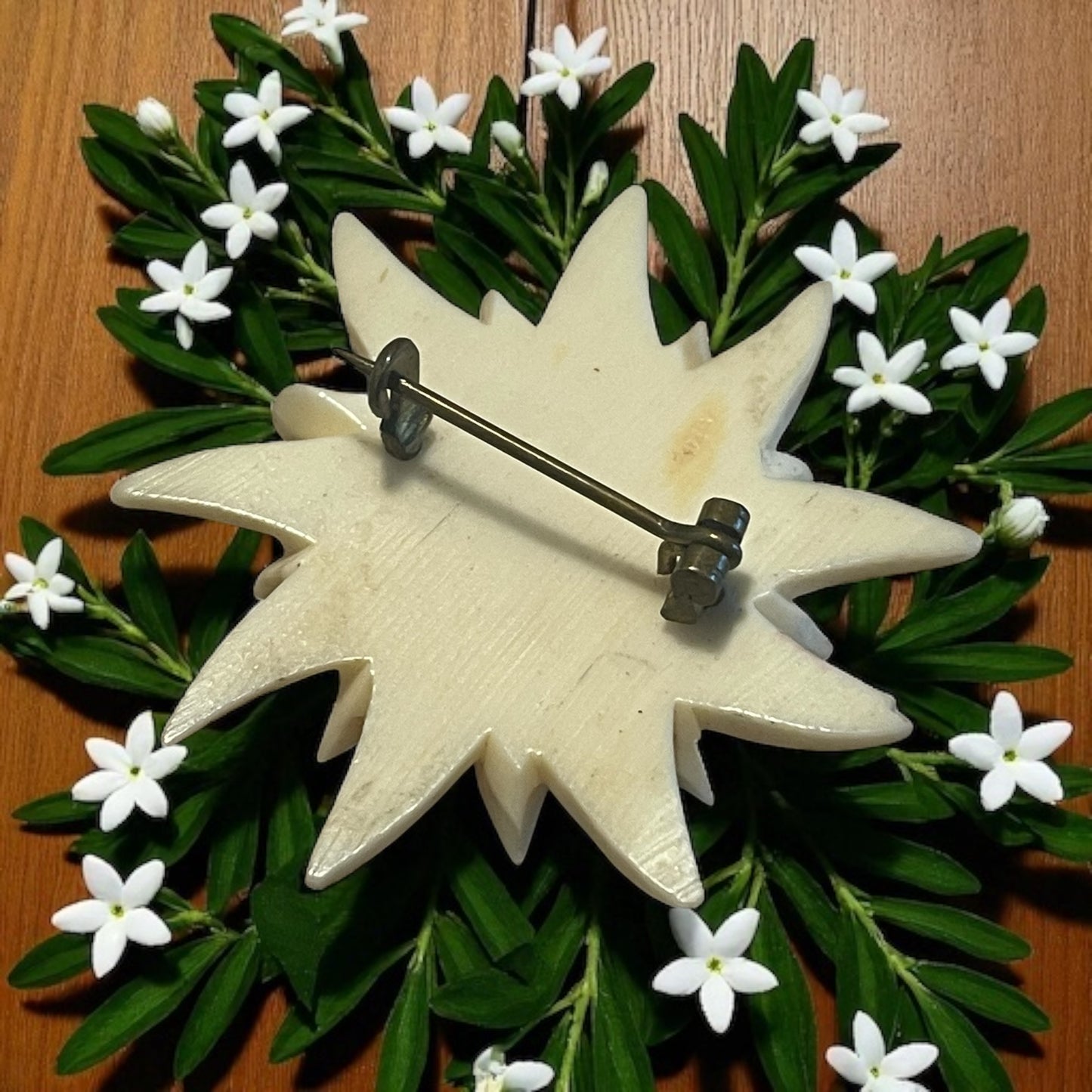 Spilla in galalite Edelweiss stella alpina, anni 40 - 50