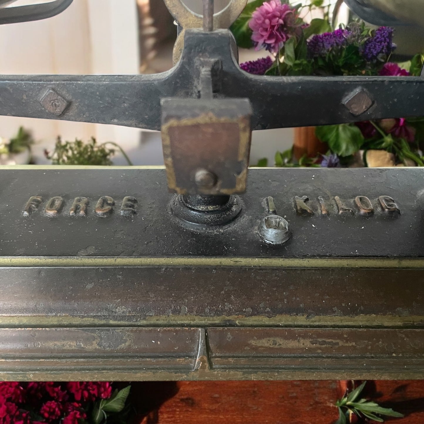 Bilancia da speziale, portata 1 kg, a due piatti. Tardo ‘800 - primo ‘900.