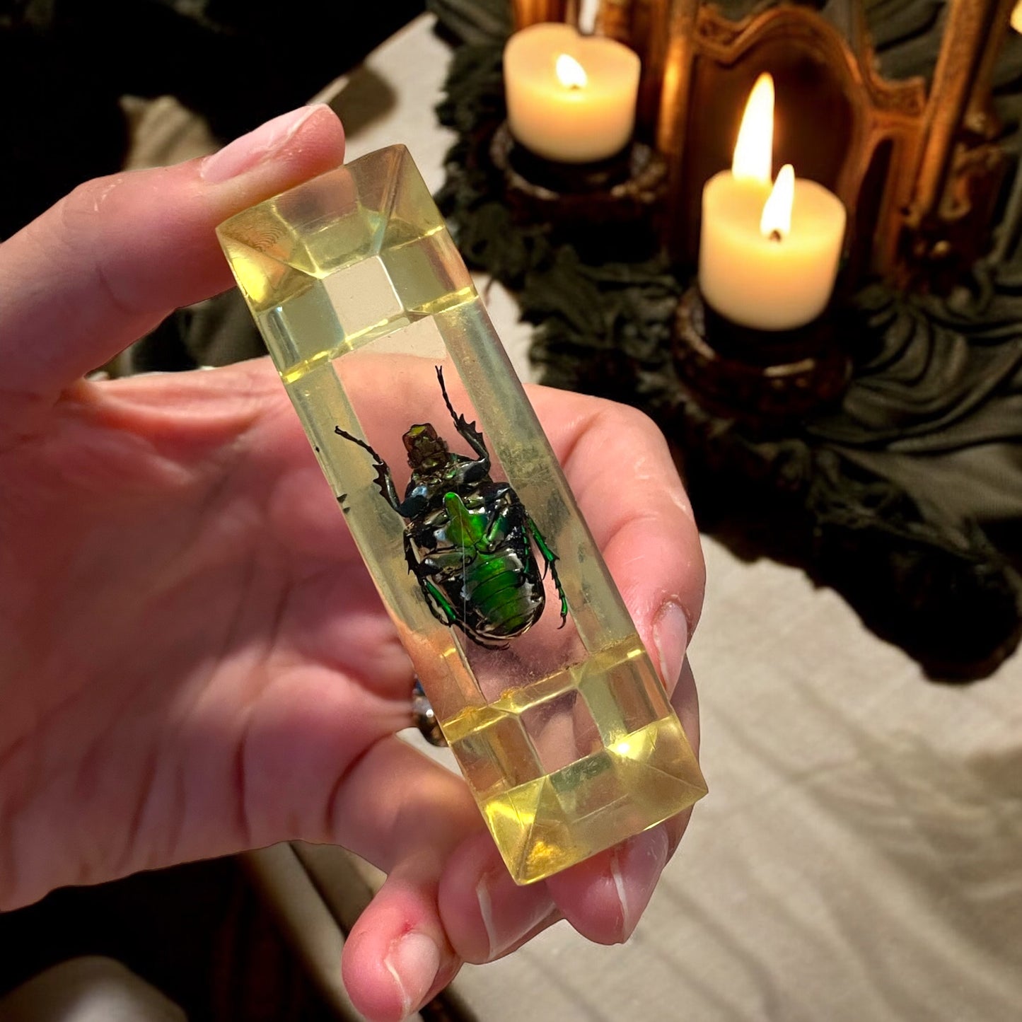 Esclusivo set poggia coltelli con veri scarabei