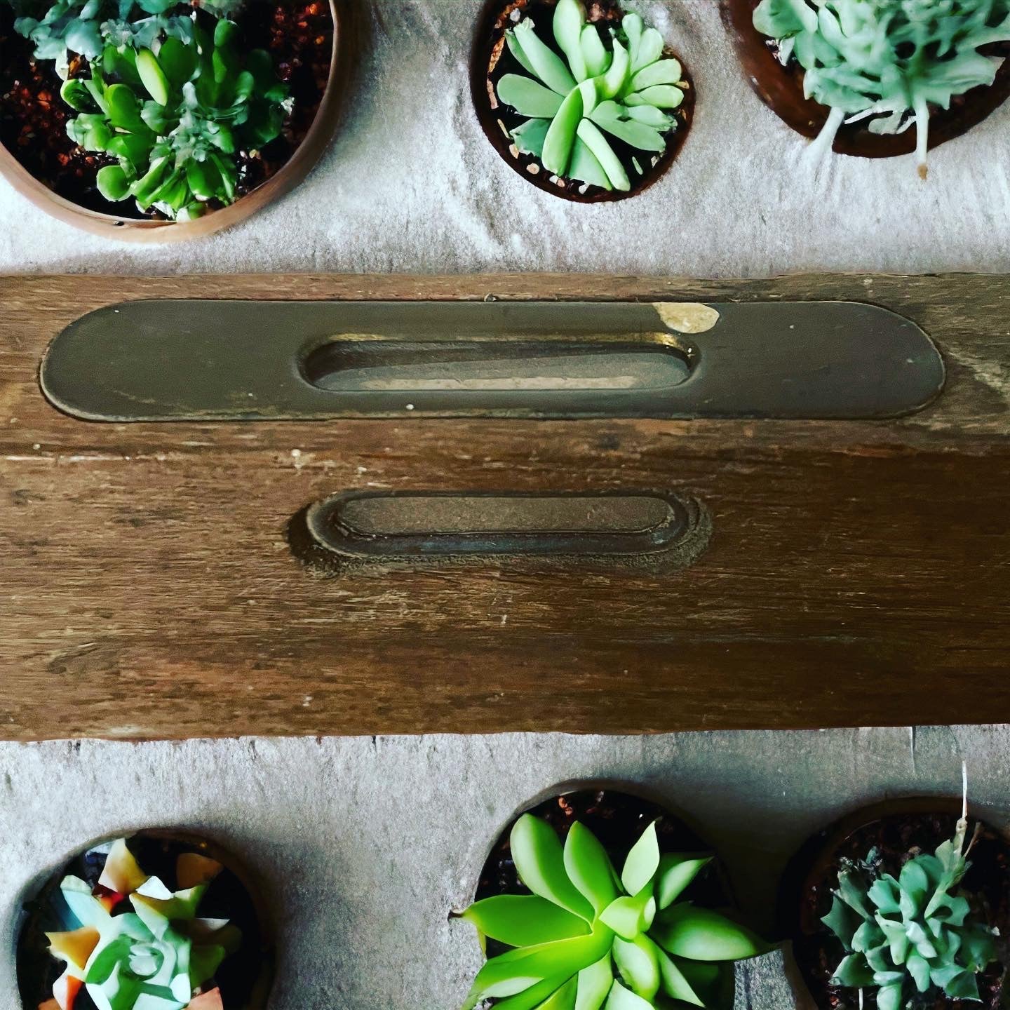 Livella bolla antica