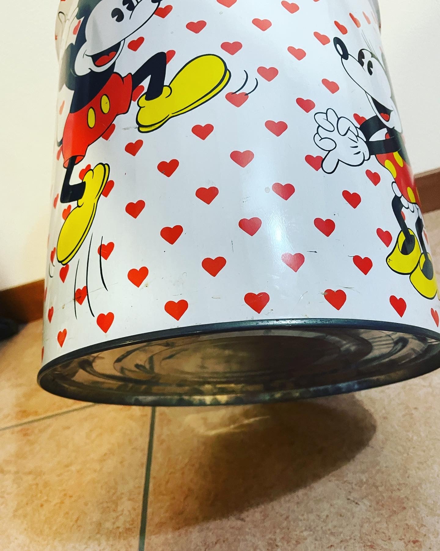 Bidone Minnie Topolino