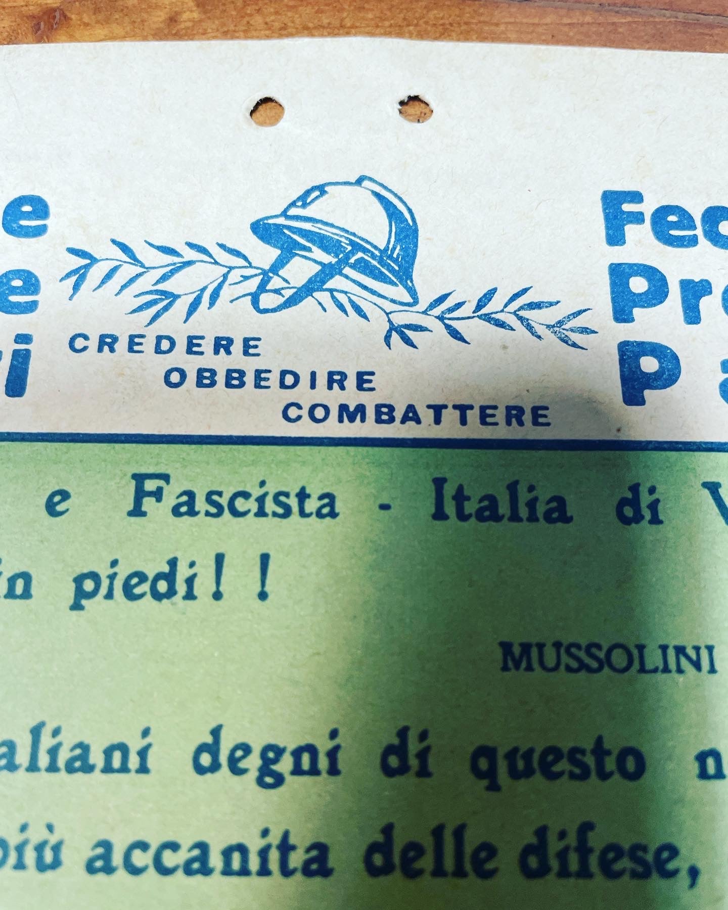 Fascist cardboard