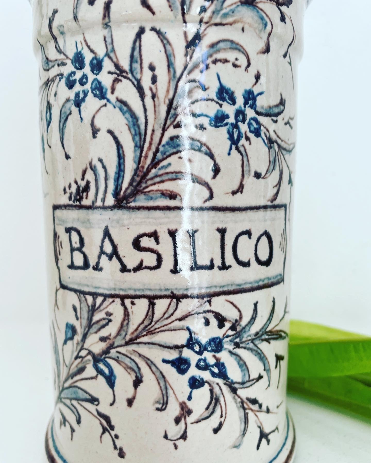 Albarello basilico