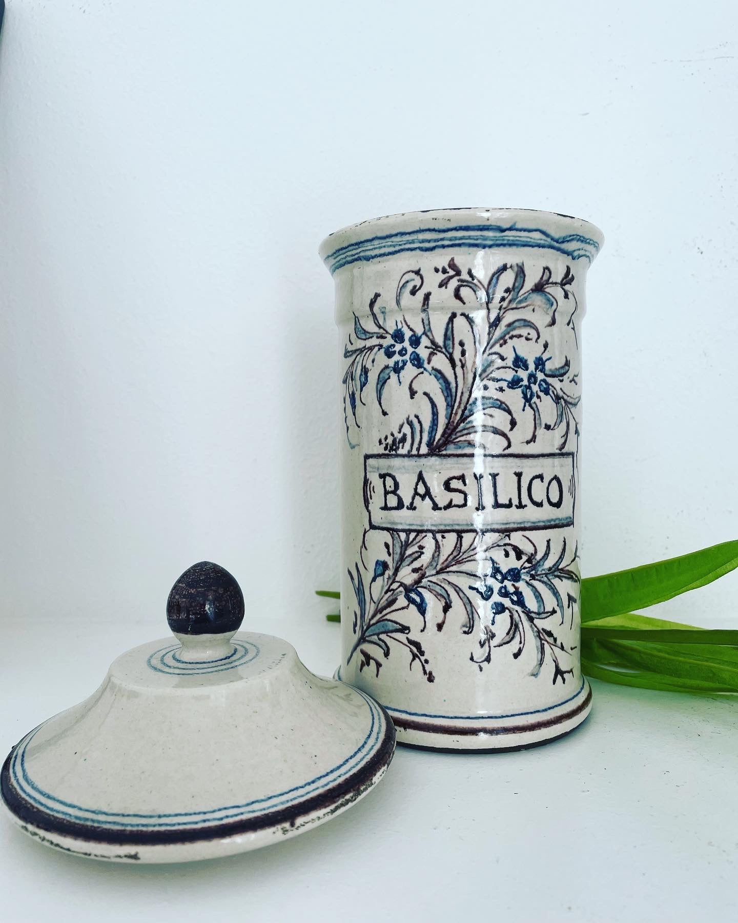 Albarello basilico