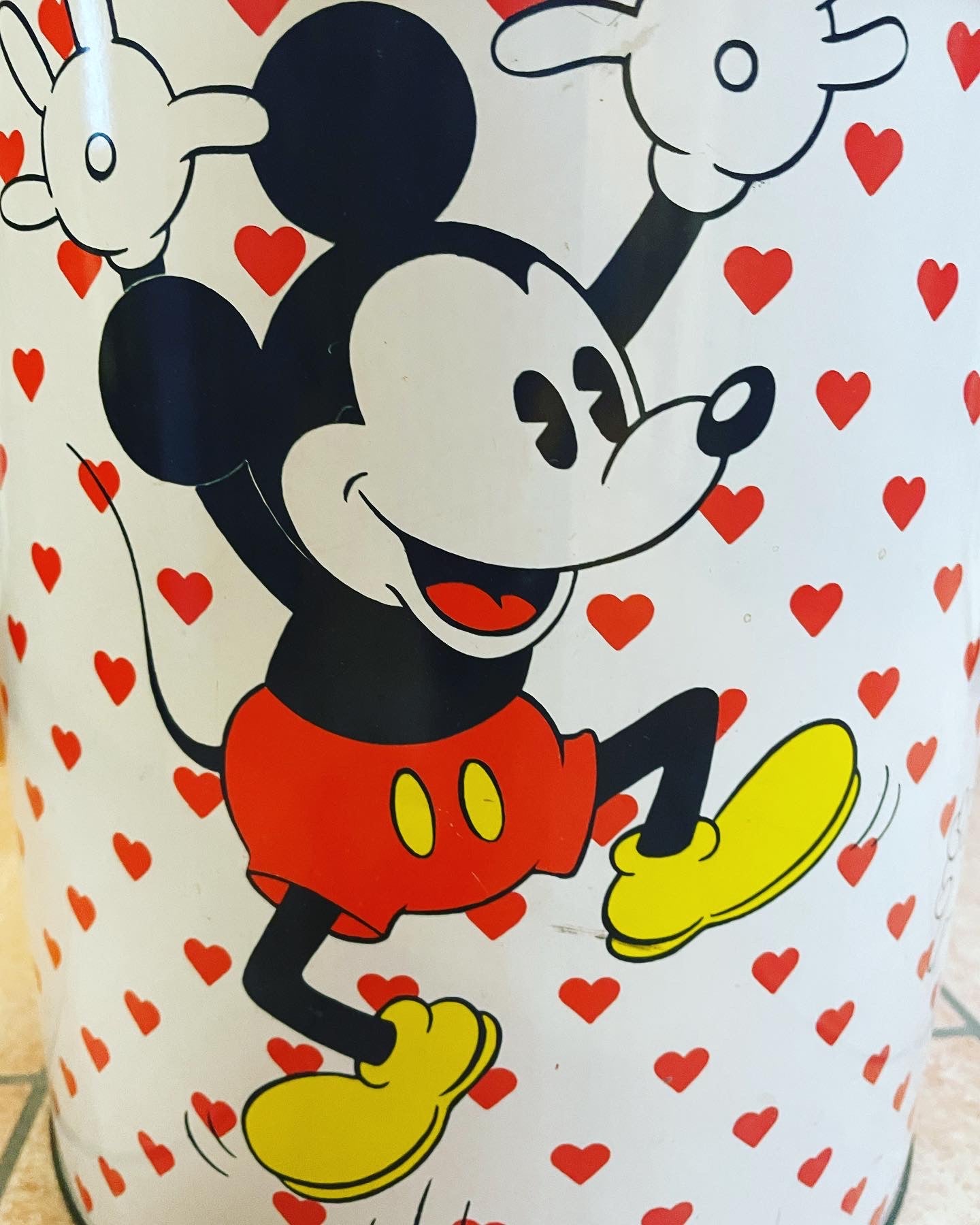 Bidone Minnie Topolino