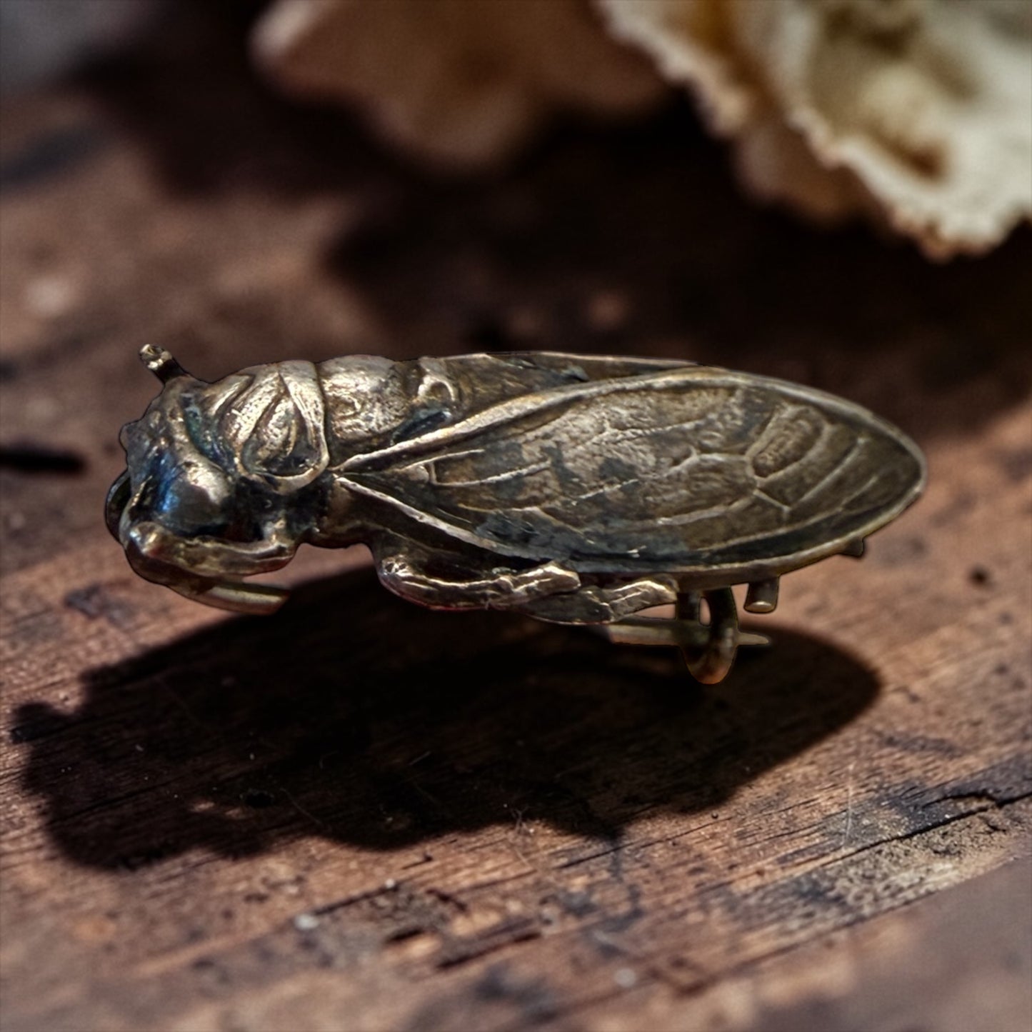 Spilla in argento liberty a guisa di piccola cicala, fine ‘800 - primo ‘900