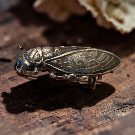 Spilla in argento liberty a guisa di piccola cicala, fine ‘800 - primo ‘900