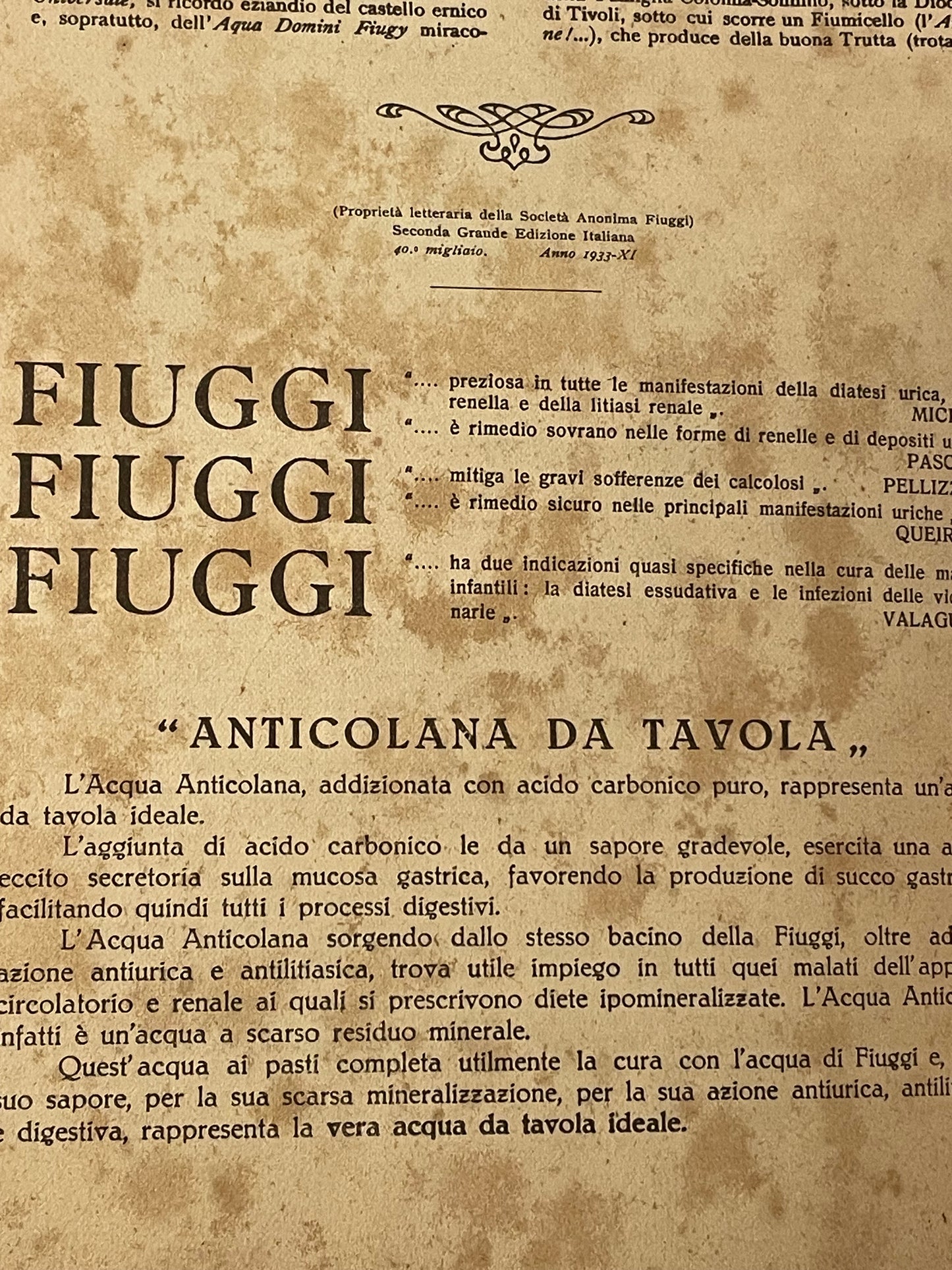 Libro raro 1933 monografia acqua Fiuggi