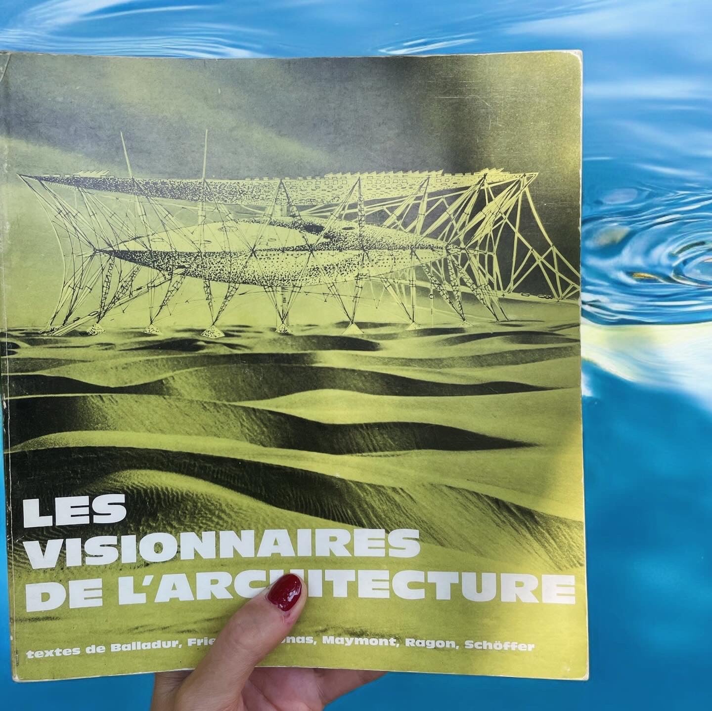 Les visionnaires de l'architecture book 1965