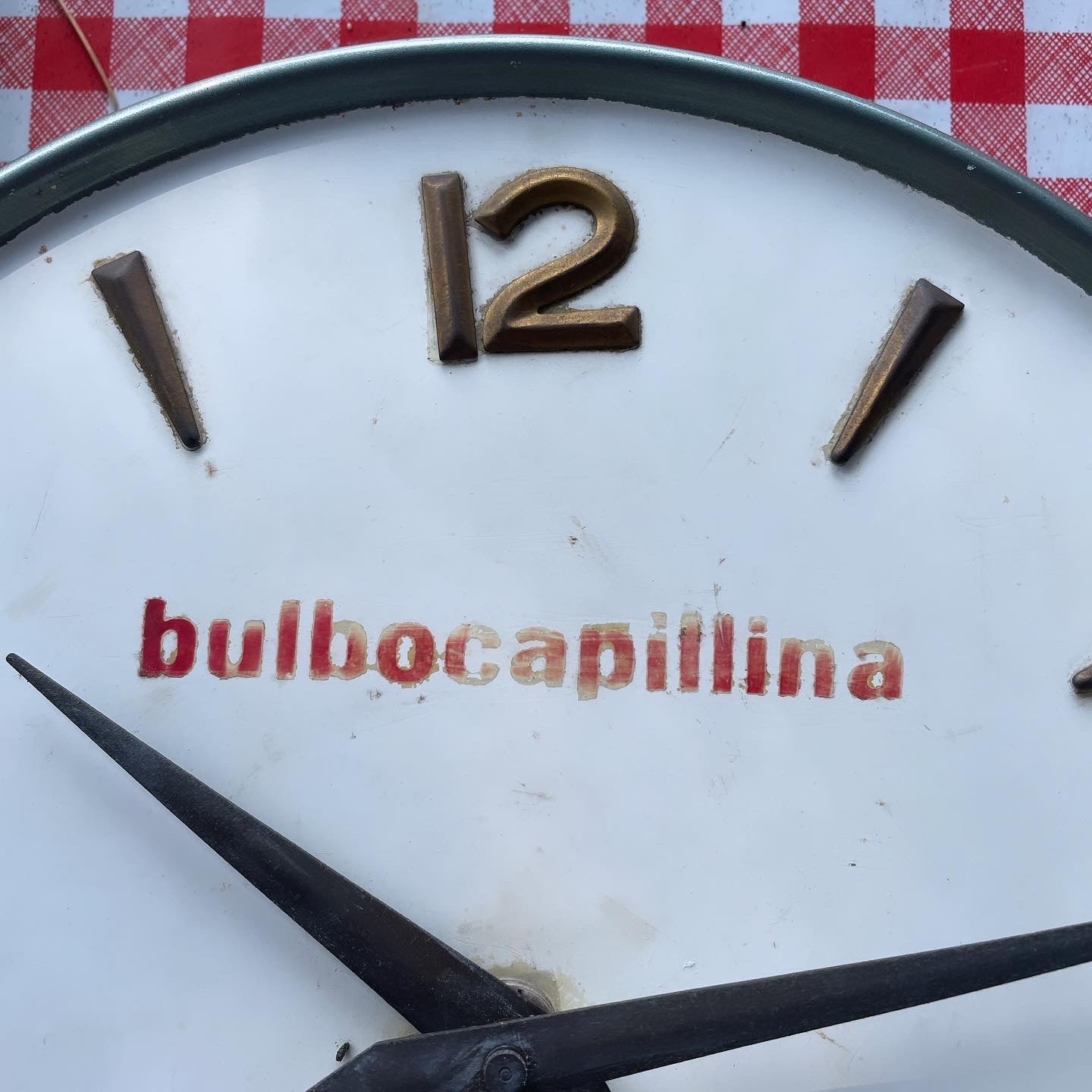 Orologio anni 40 Bulbocapillina