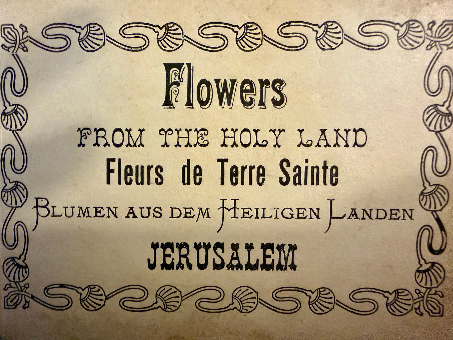 Antico erbario Terra Santa Gerusalemme fine ‘800 - primo ‘900 con copertina in ulivo e dedica manoscritta