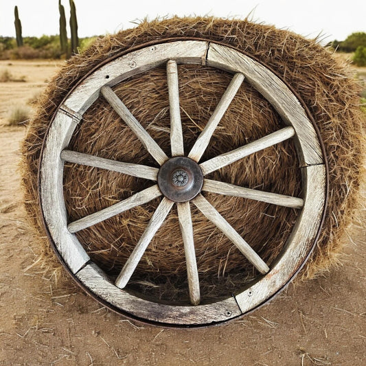 Ancient wagon wheel