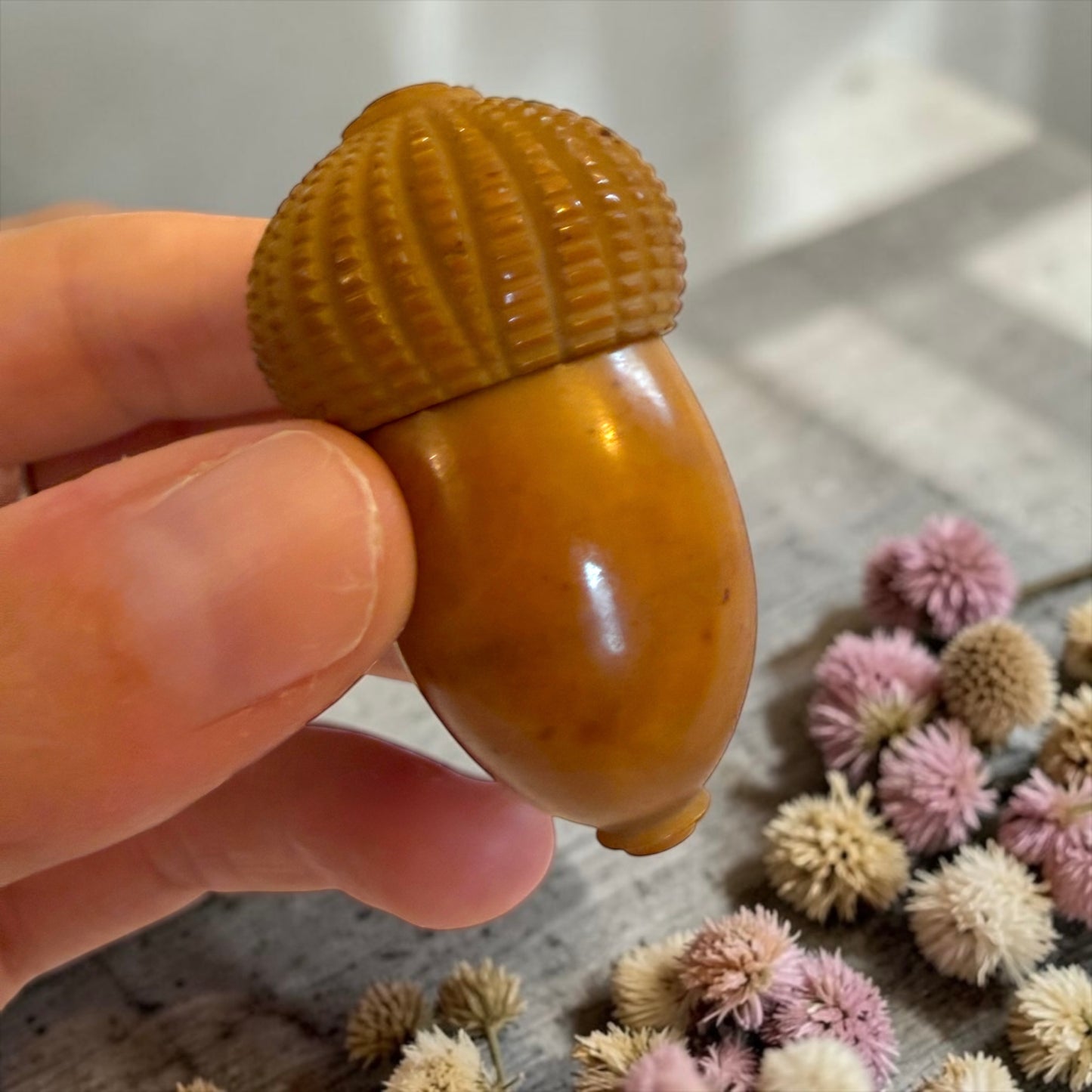 Porta ditale in tagua a guisa di ghianda, fine ‘800 primo ‘900
