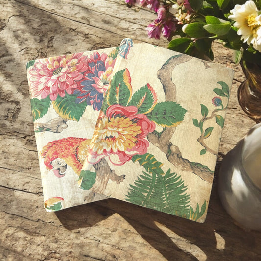 Coppia album di studio con stampe farfalle e animali esotici, dall’800 al ‘900