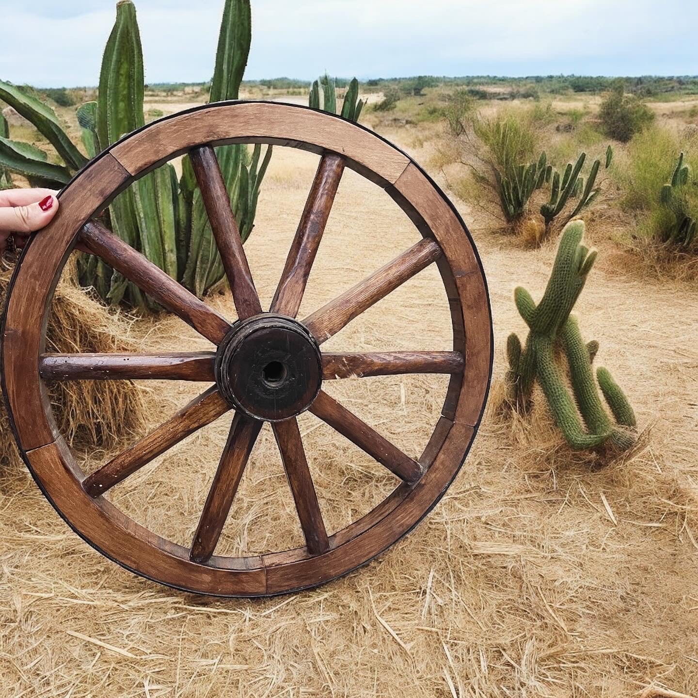 Ruota del carro antica