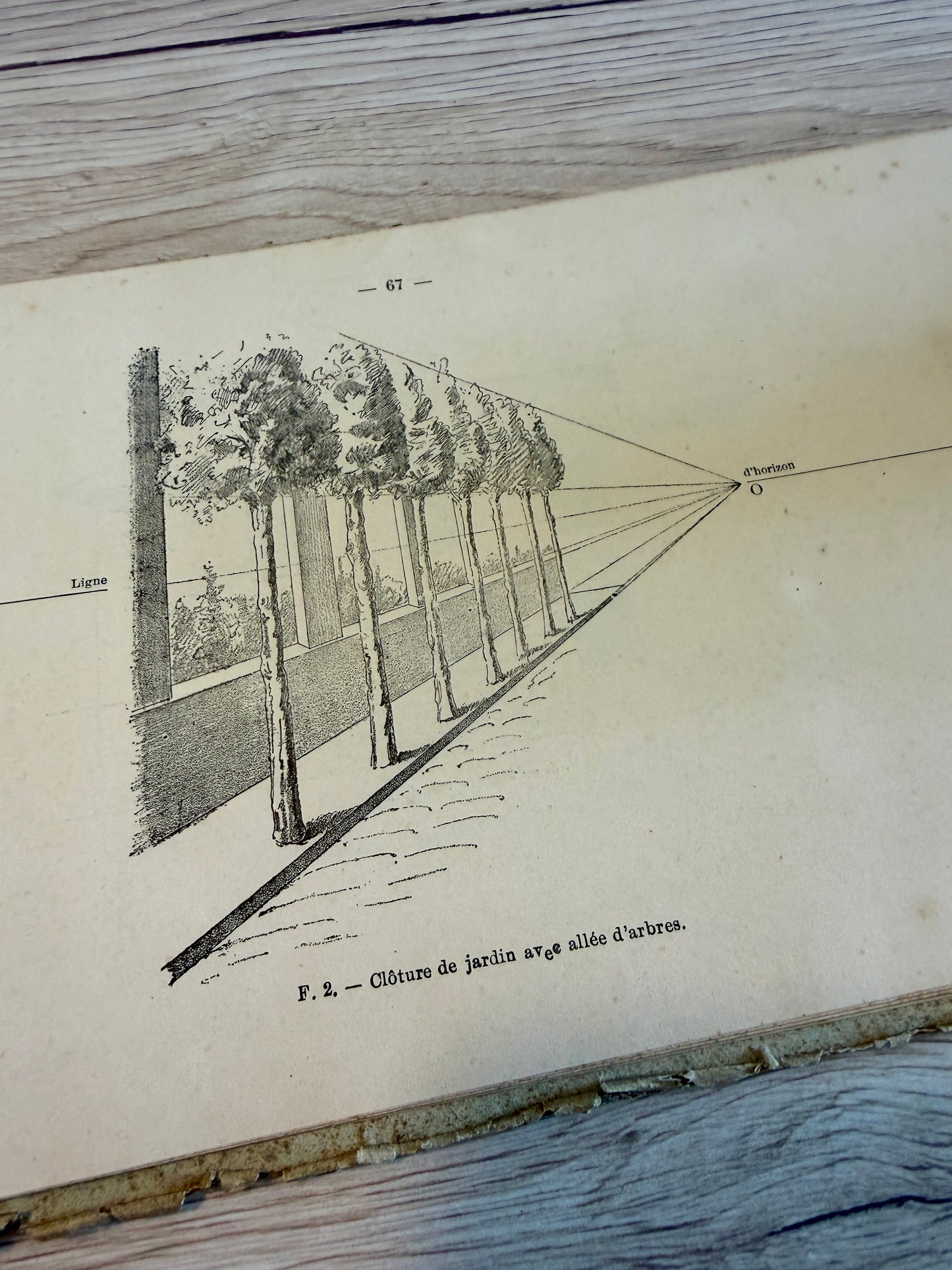 Lotto maison d’art: libro prospettiva fine ‘800, album da disegno e pastelli d’epoca