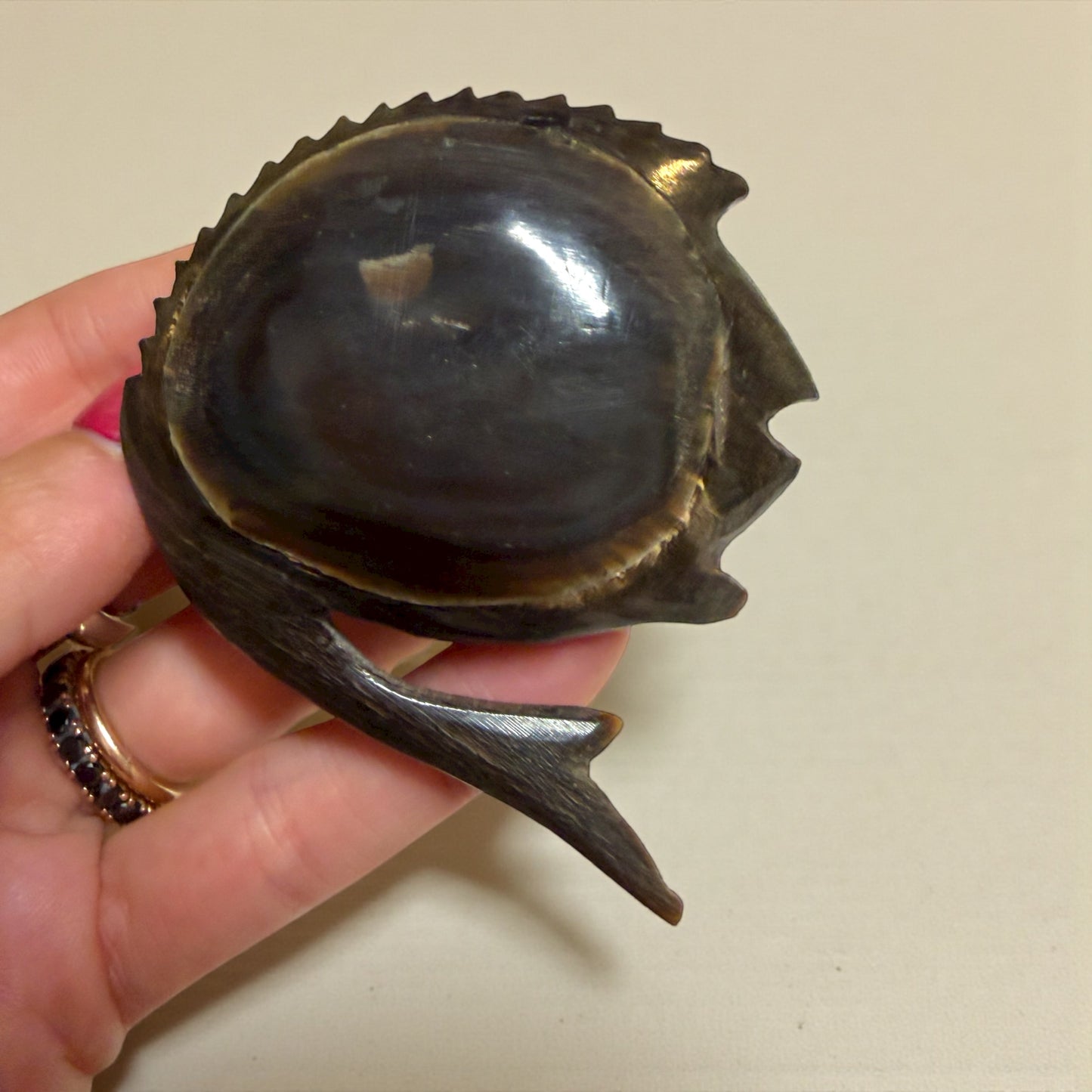 Antica tabacchiera corno zoomorfo a guisa di pesce ￼