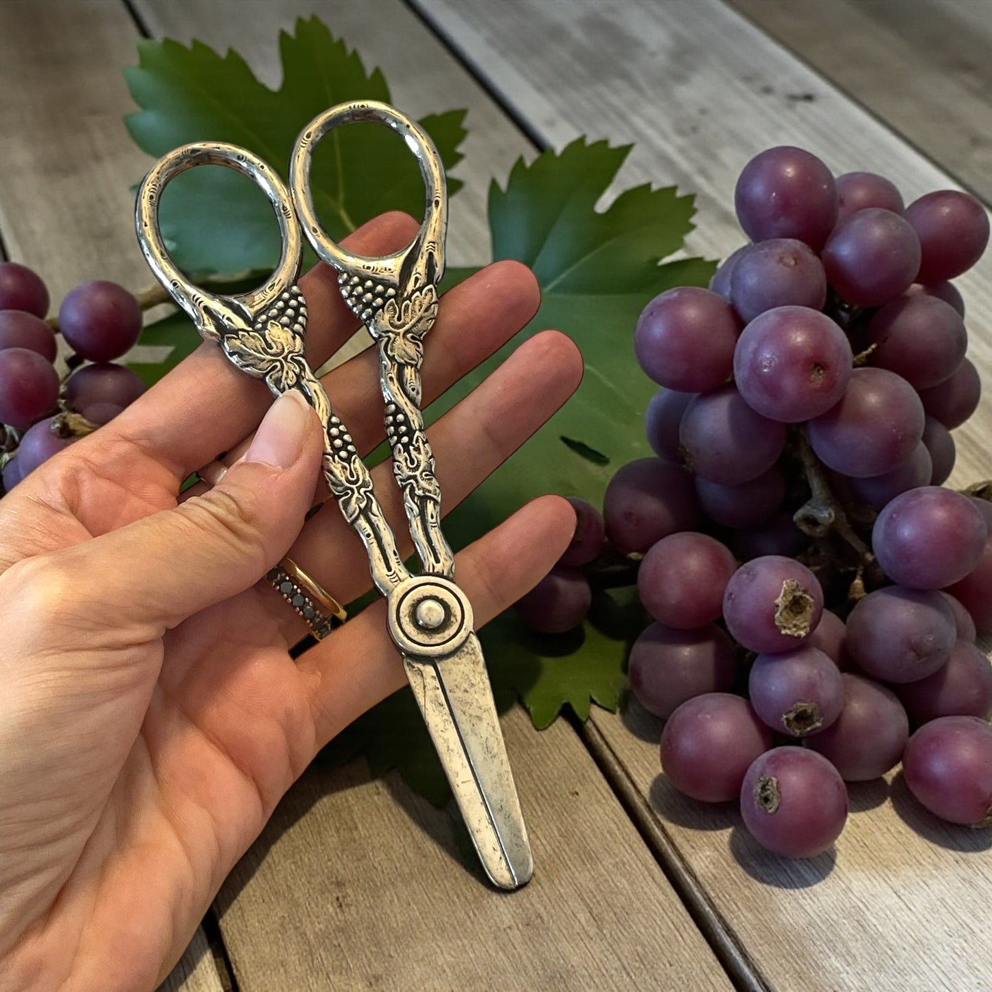 Forbici da uva in argento, Mema Sweden, anni ‘40-‘50