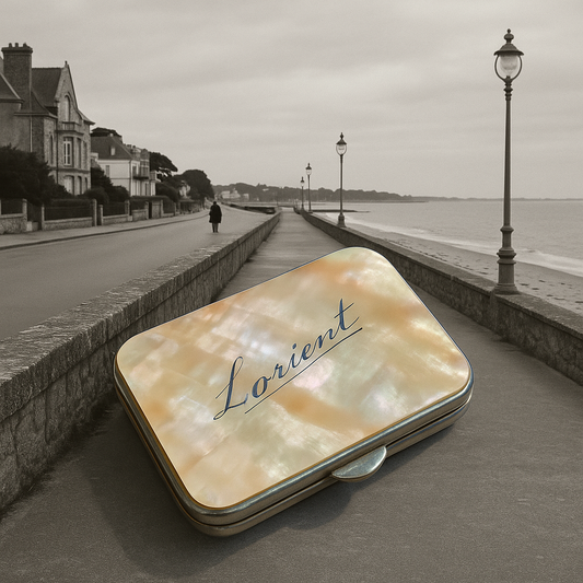 Antico porta monete da borsetta anni ‘30, madreperla