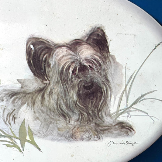 Scatola latta vintage con cagnolino illustrata da Marsha Steger