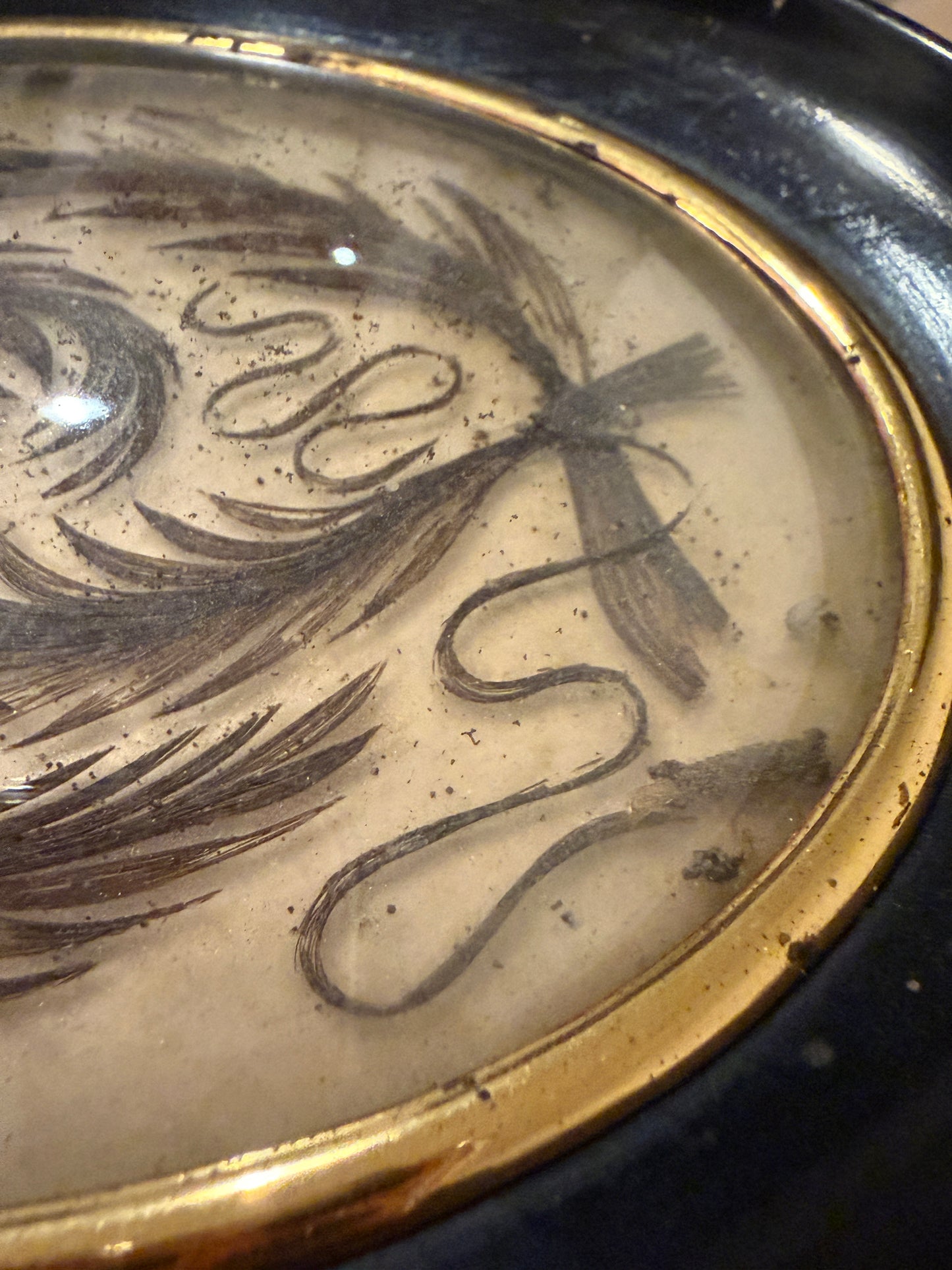 Quadro sentimentale con capelli, hair work vittoriano