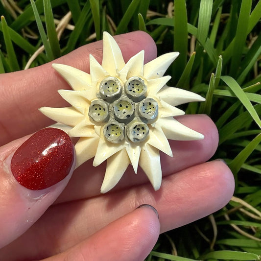 Spilla in galalite Edelweiss stella alpina, anni 40 - 50