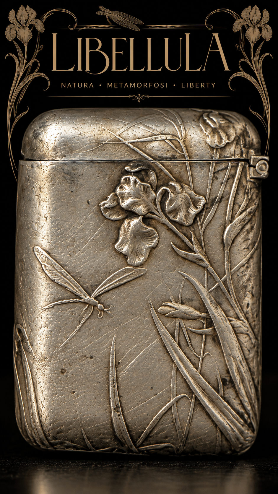Splendido Vesta Case Liberty con donna che coglie fiori e libellula