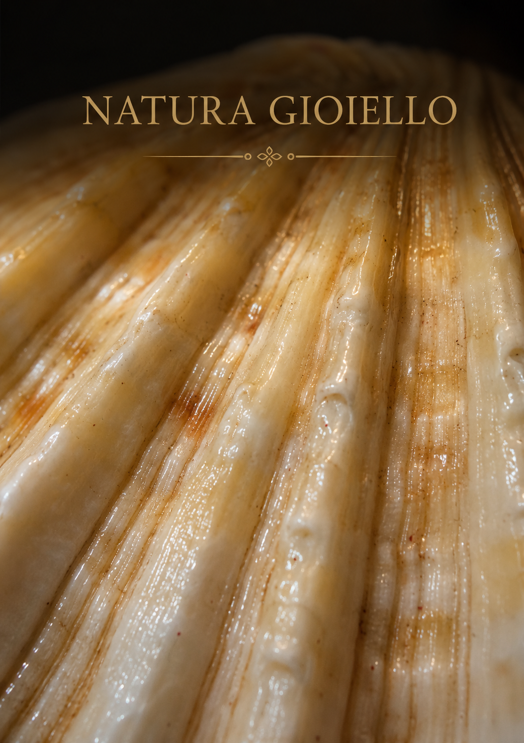 Scrigno gioiello da collo in conchiglia naturale montata in ottone, anni ‘20
