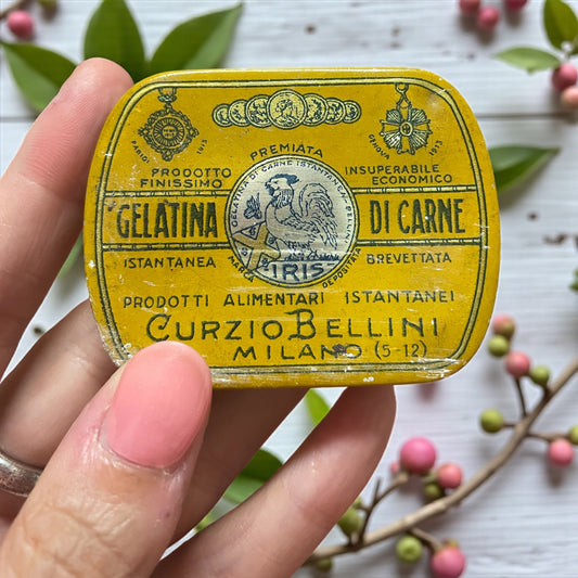 Scatola latta da collezione gelatina di carne Curzio Bellini