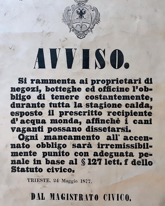 Trieste Decree 1877