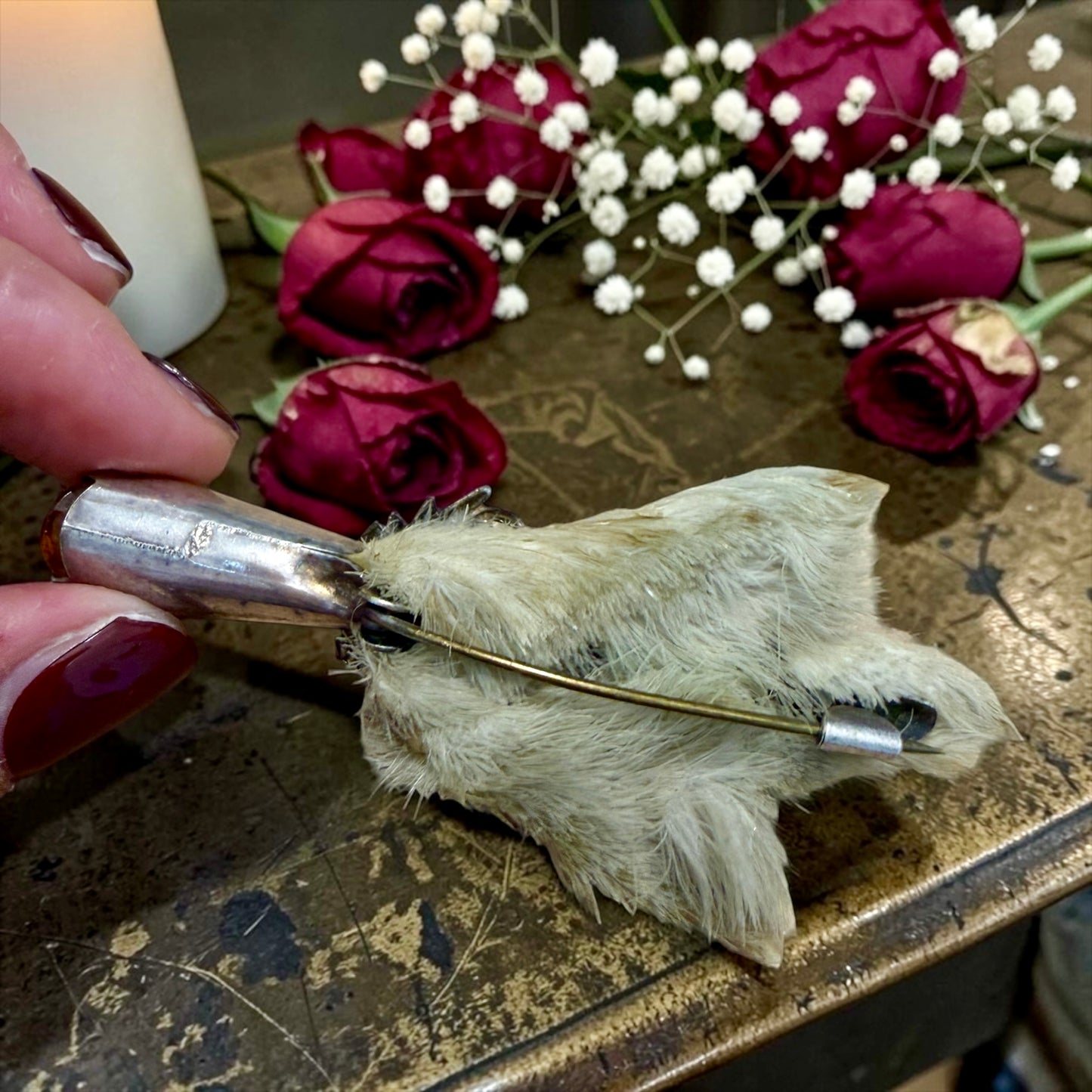 Spilla scozzese primissimo ‘900 con tassidermia di zampa di Grouse, placcata argento