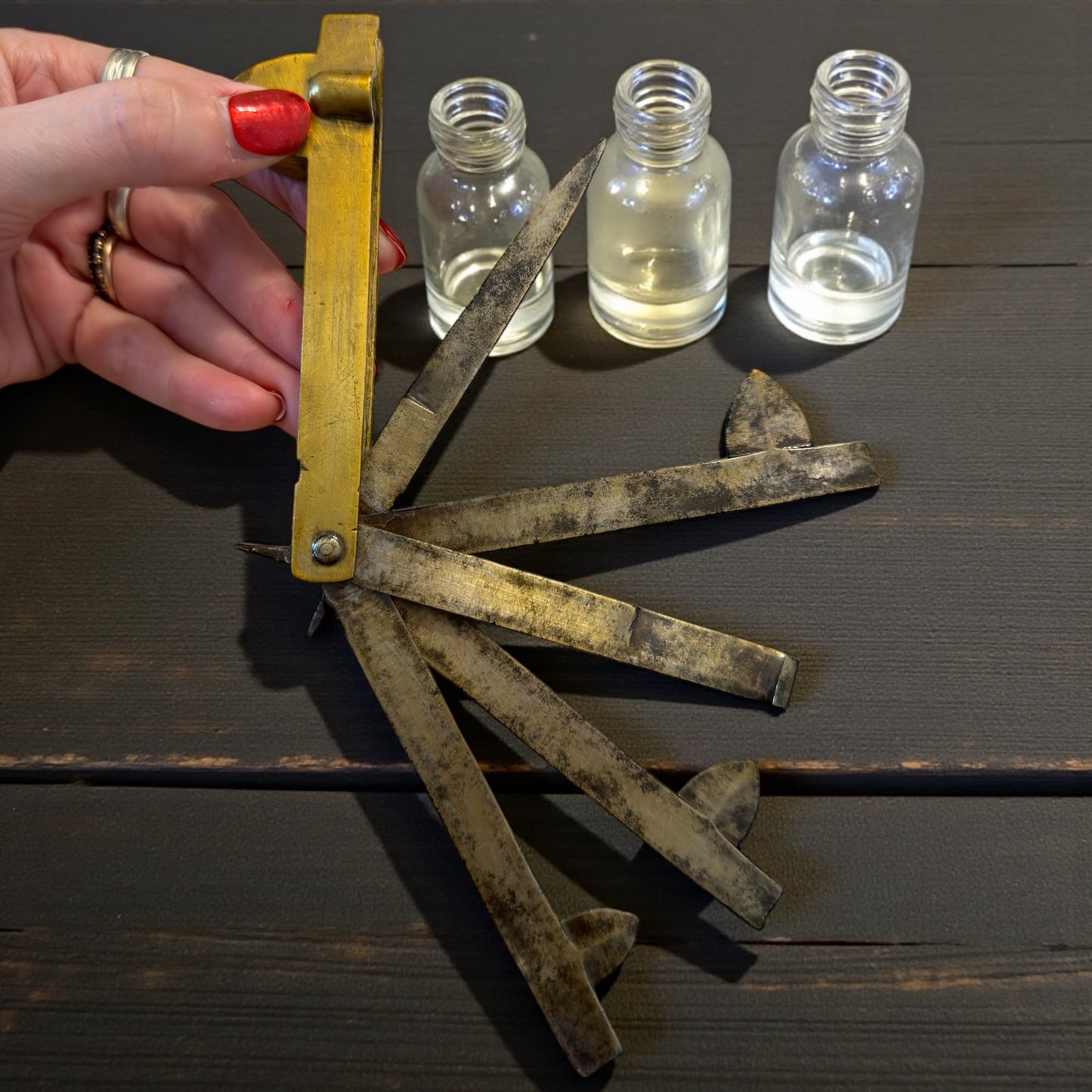 Antico scarificatore, strumento medico veterinario per salassi