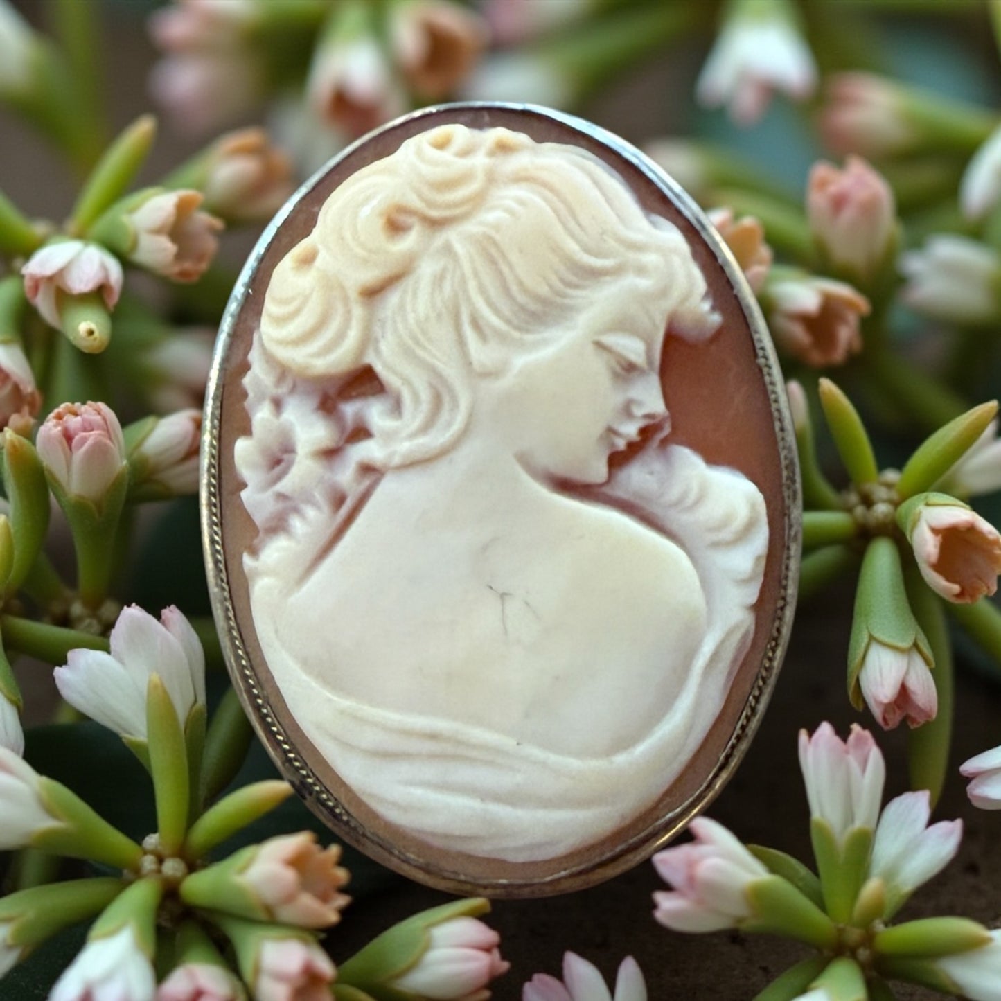 Cammeo su conchiglia montato in argento 800, area Torre del Greco