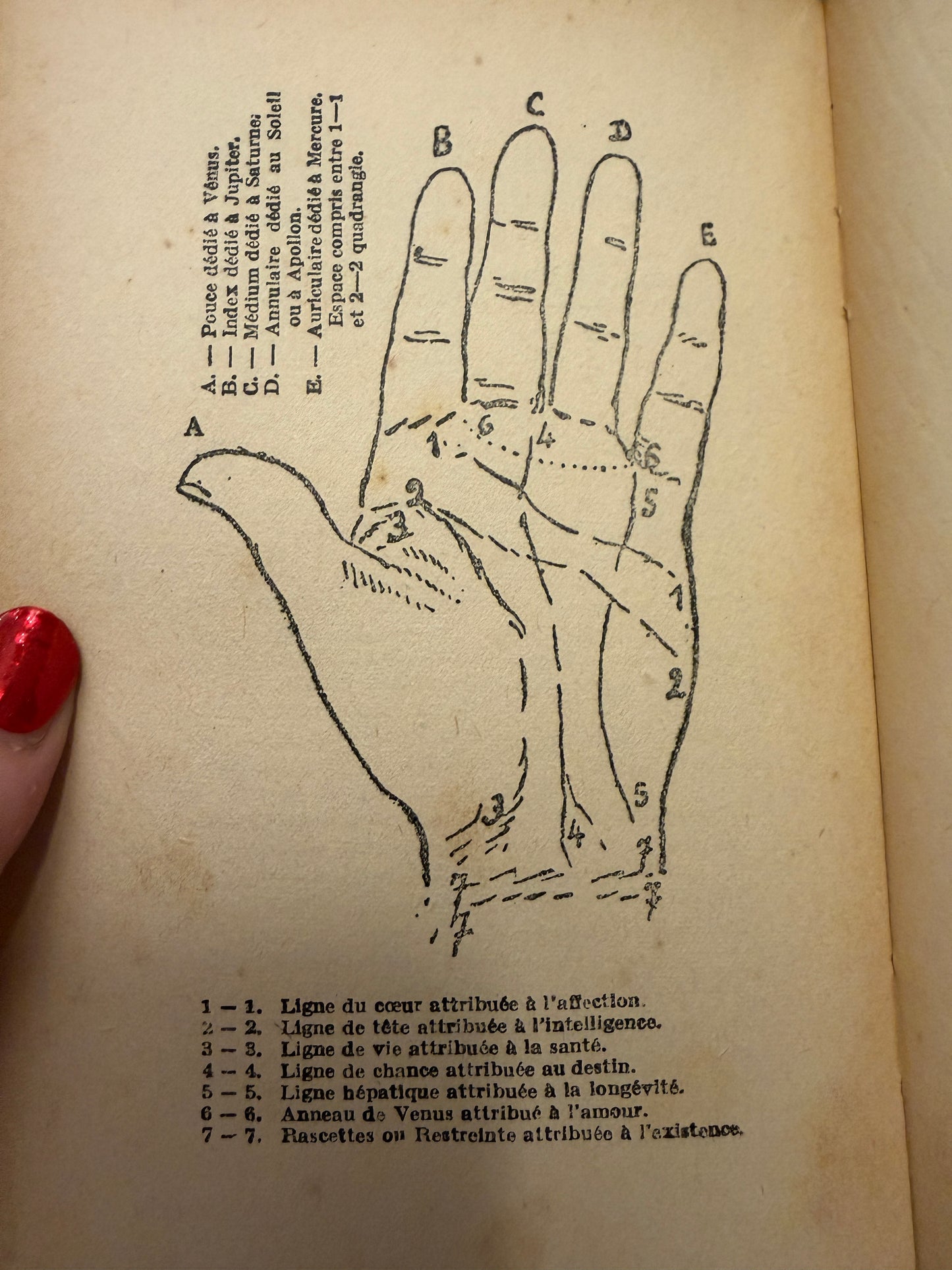 Libro prima edizione 1939 chiromanzia, lettura delle stelle e dei tarocchi