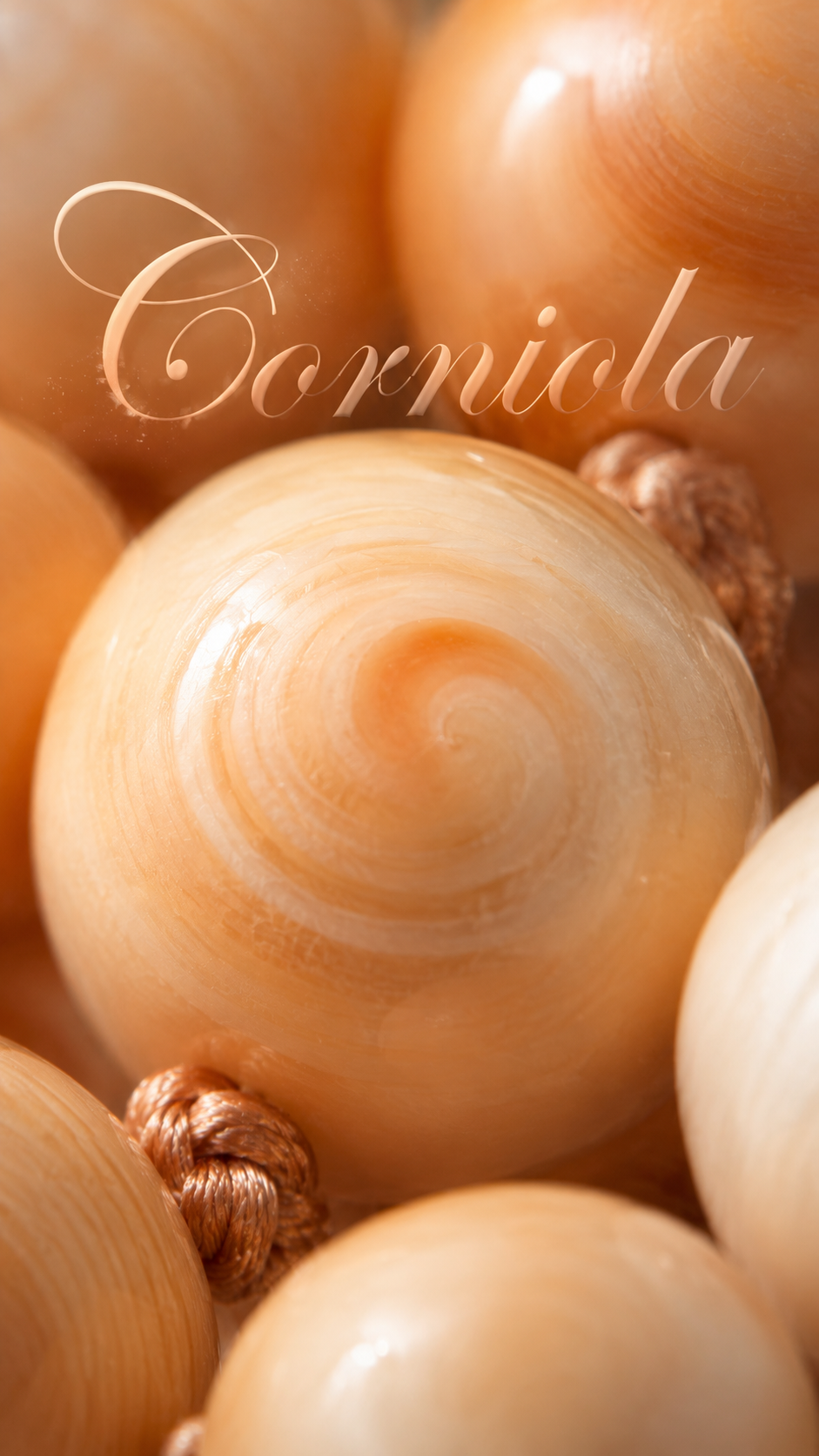 Collana in perle di autentica conchiglia corniola