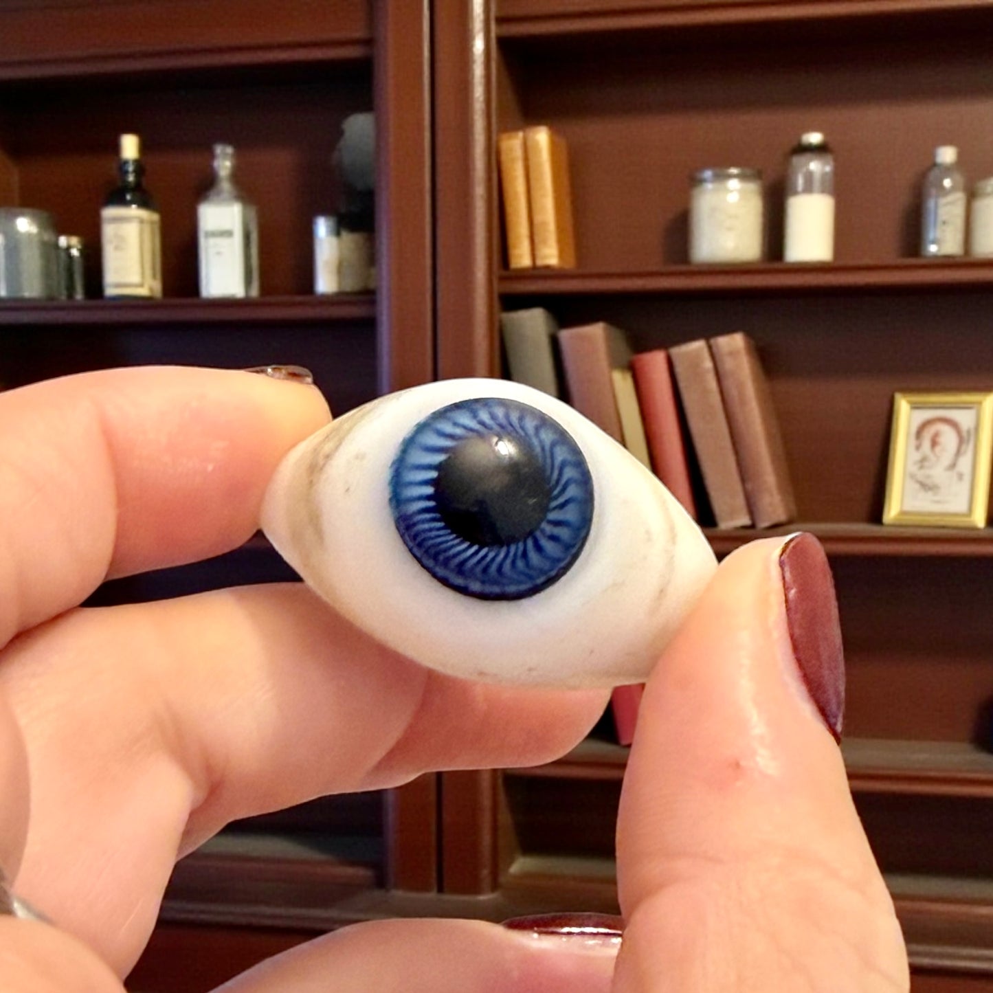 Occhio di vetro modello per protesi oculare medica, fine ‘800 - primo ‘900, blu