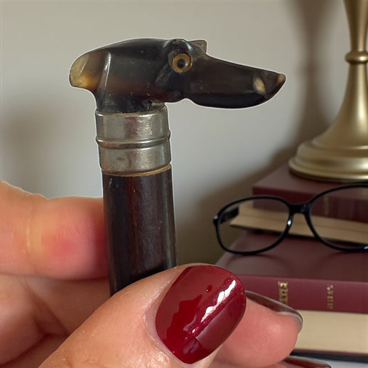 Manico da ombrellino vittoriano con scultura in corno a guisa di levriero