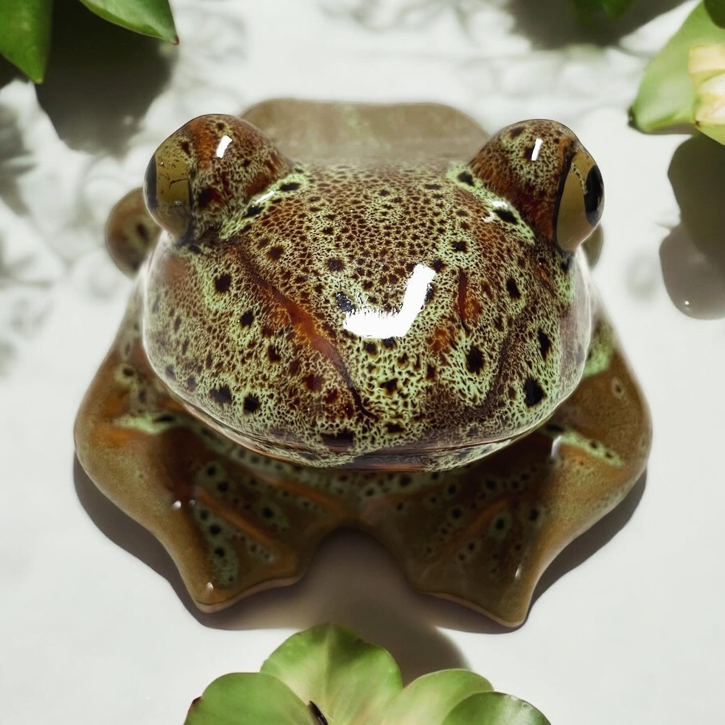 Vintage porcelain frog