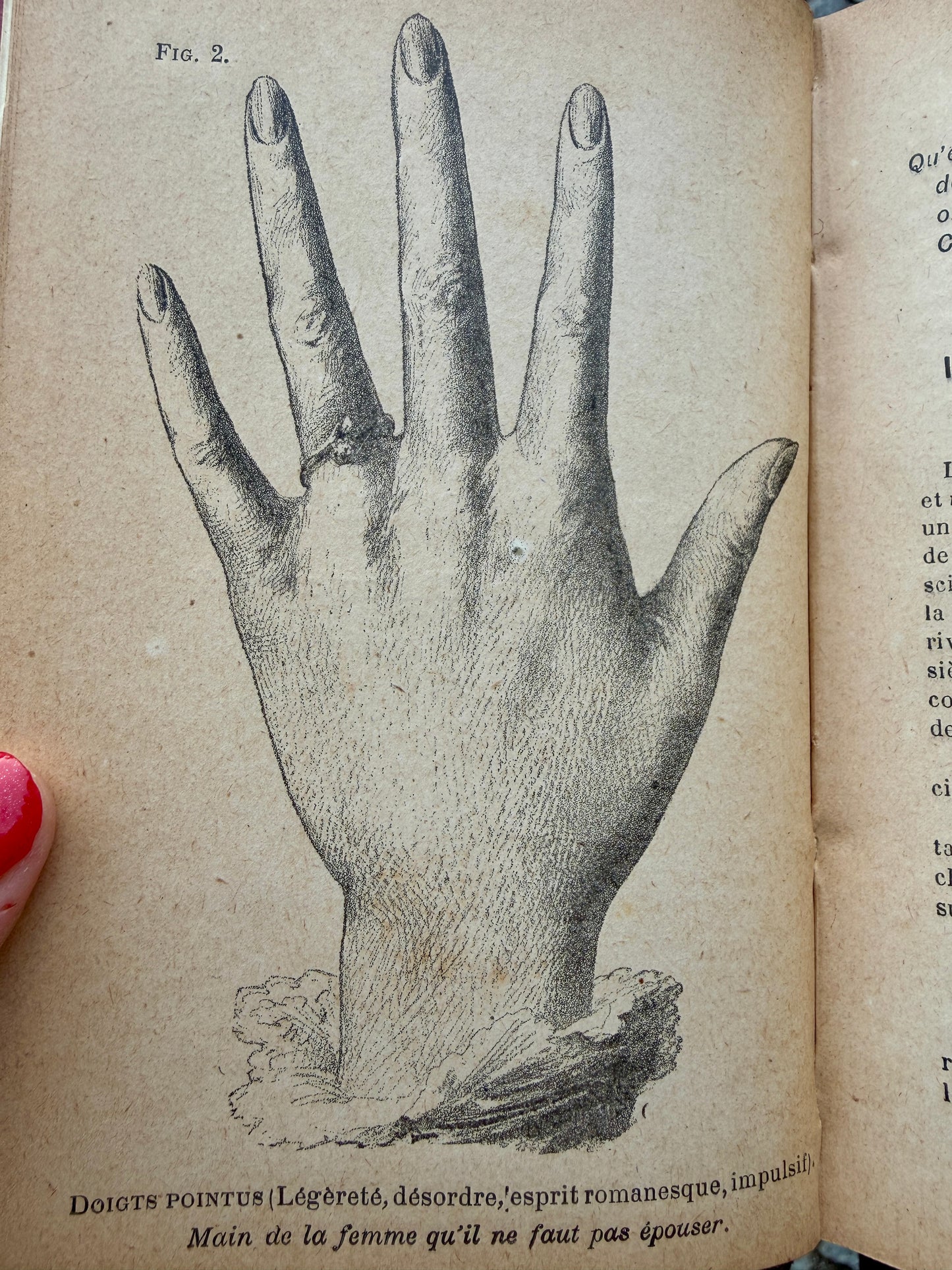 Libro antico di chiromanzia “Que qu’on lit dans la maine”, prima ed. 1906