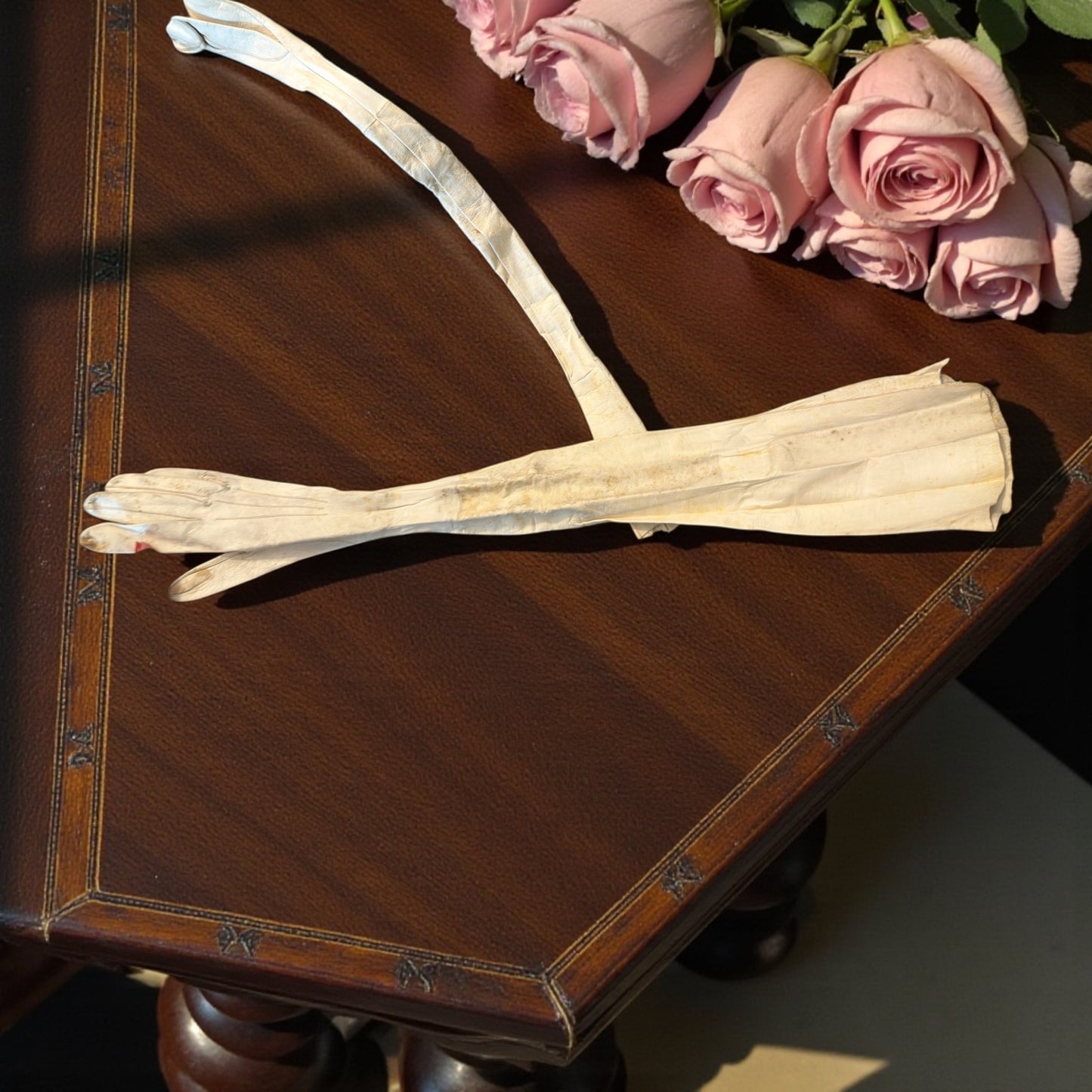 Guanti da sera in pelle sopra gomito mai usati in confezione originale fine ‘800 con cartellino