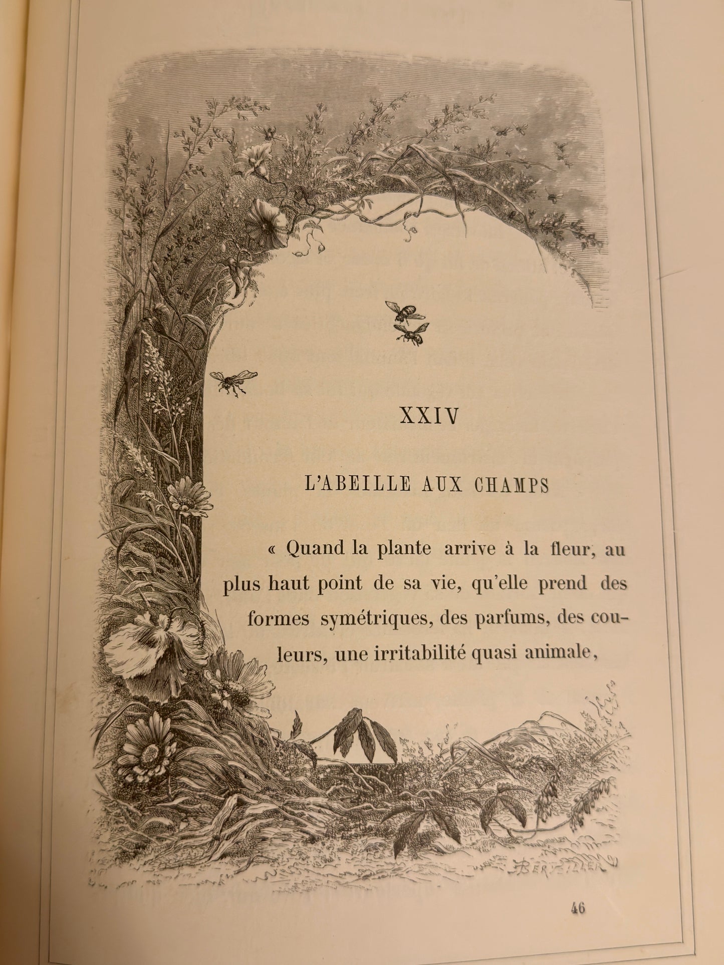 L’Insecte di Michelet, 1876, illustrato da Giacomelli con tavole a piena pagina e margini