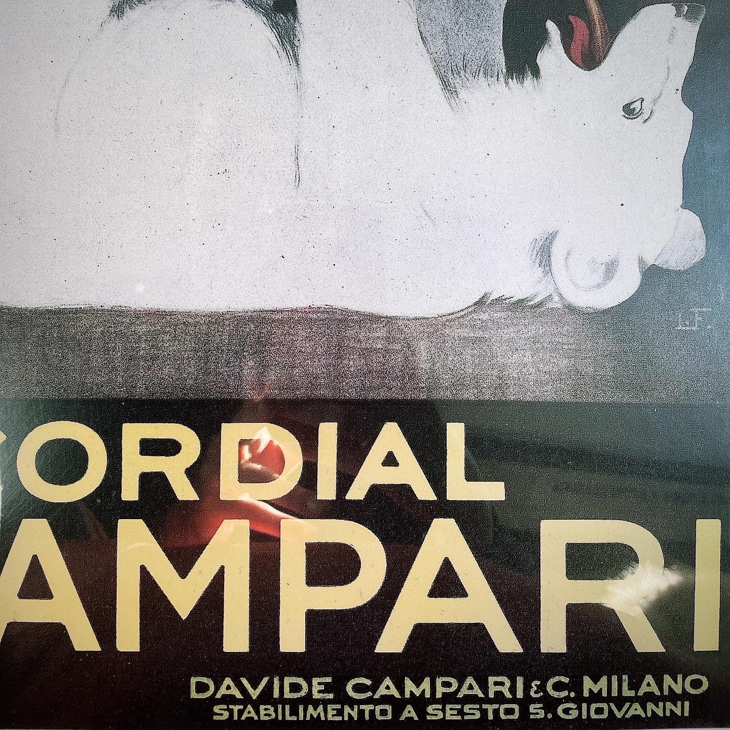 Quadro Cordial Campari