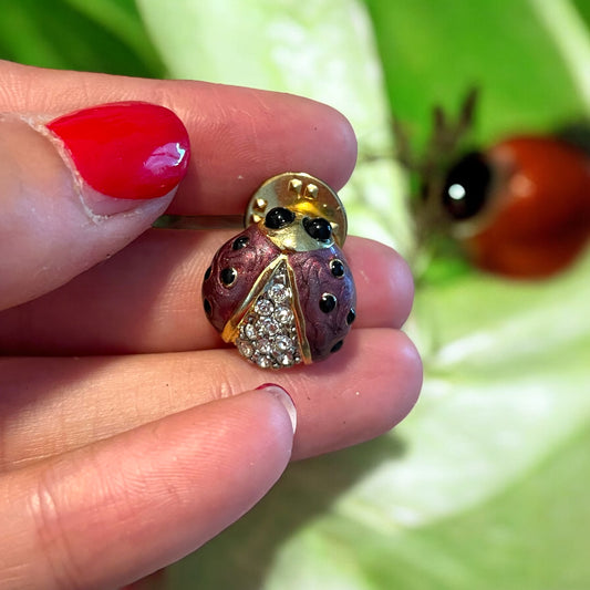 Spilla coccinella anni ‘70 / versione in rosa