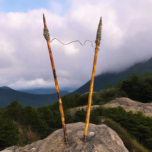 Iron poles, old mountain rackets