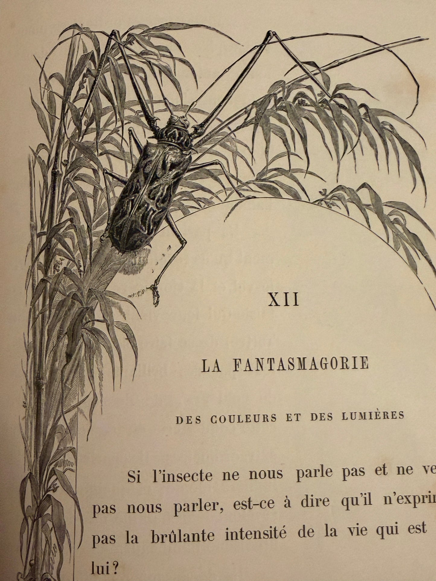 L’Insecte di Michelet, 1876, illustrato da Giacomelli con tavole a piena pagina e margini
