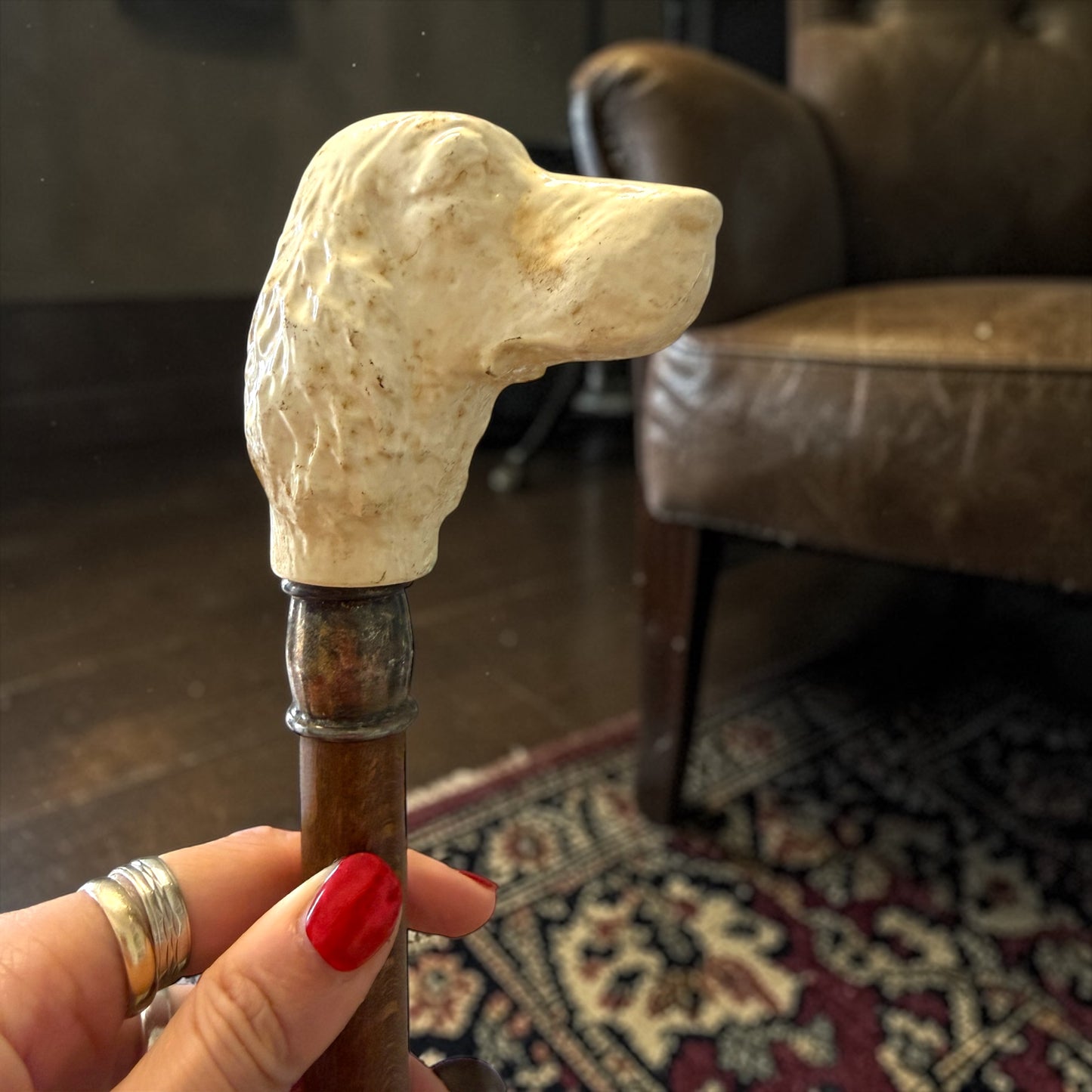 Antico bastone con testa di setter, prima metà ‘900