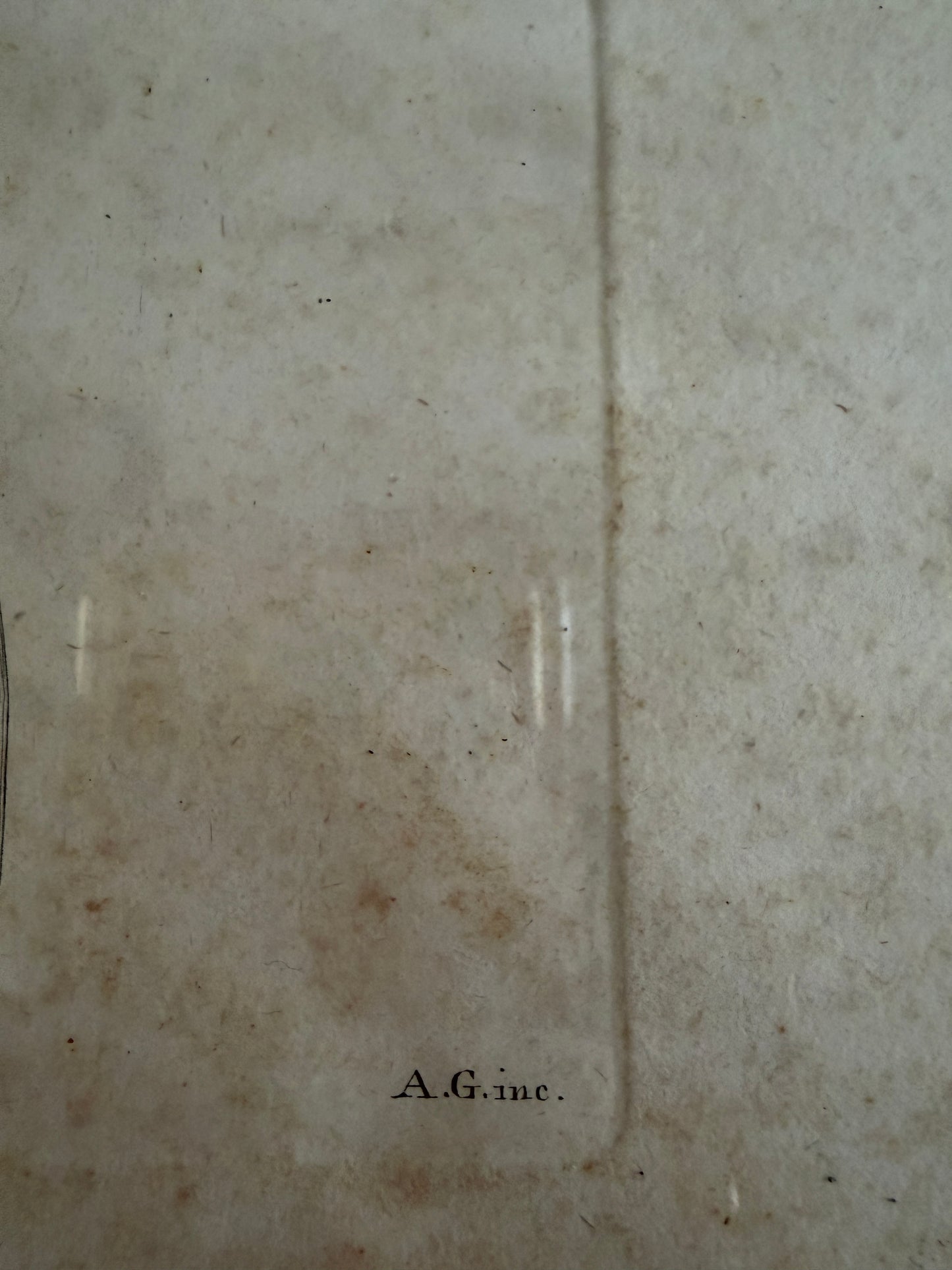 Antica tavola anatomica doppia del 1841 destinata alla Belle Arti, firmata e incorniciata