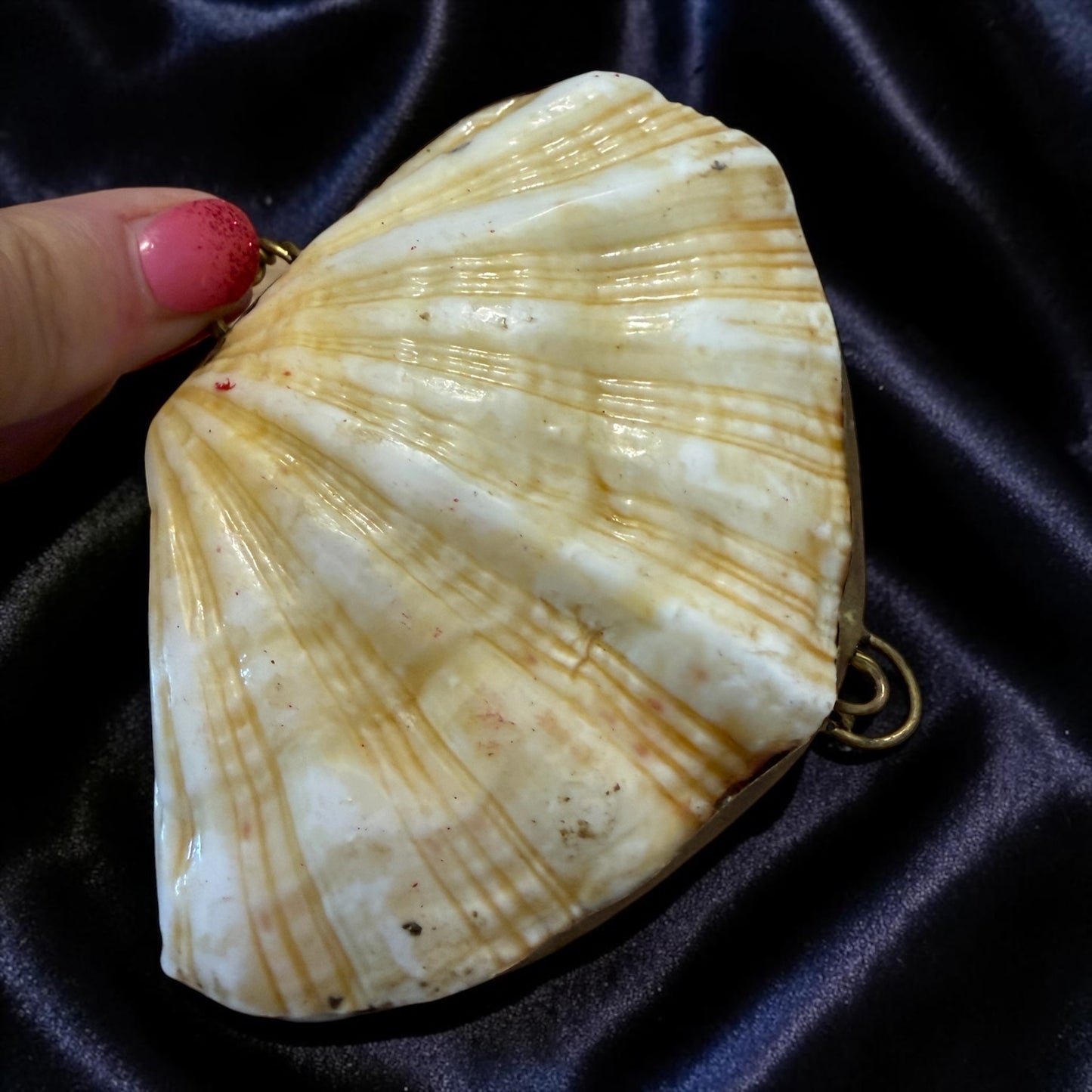 Scrigno gioiello da collo in conchiglia naturale montata in ottone, anni ‘20