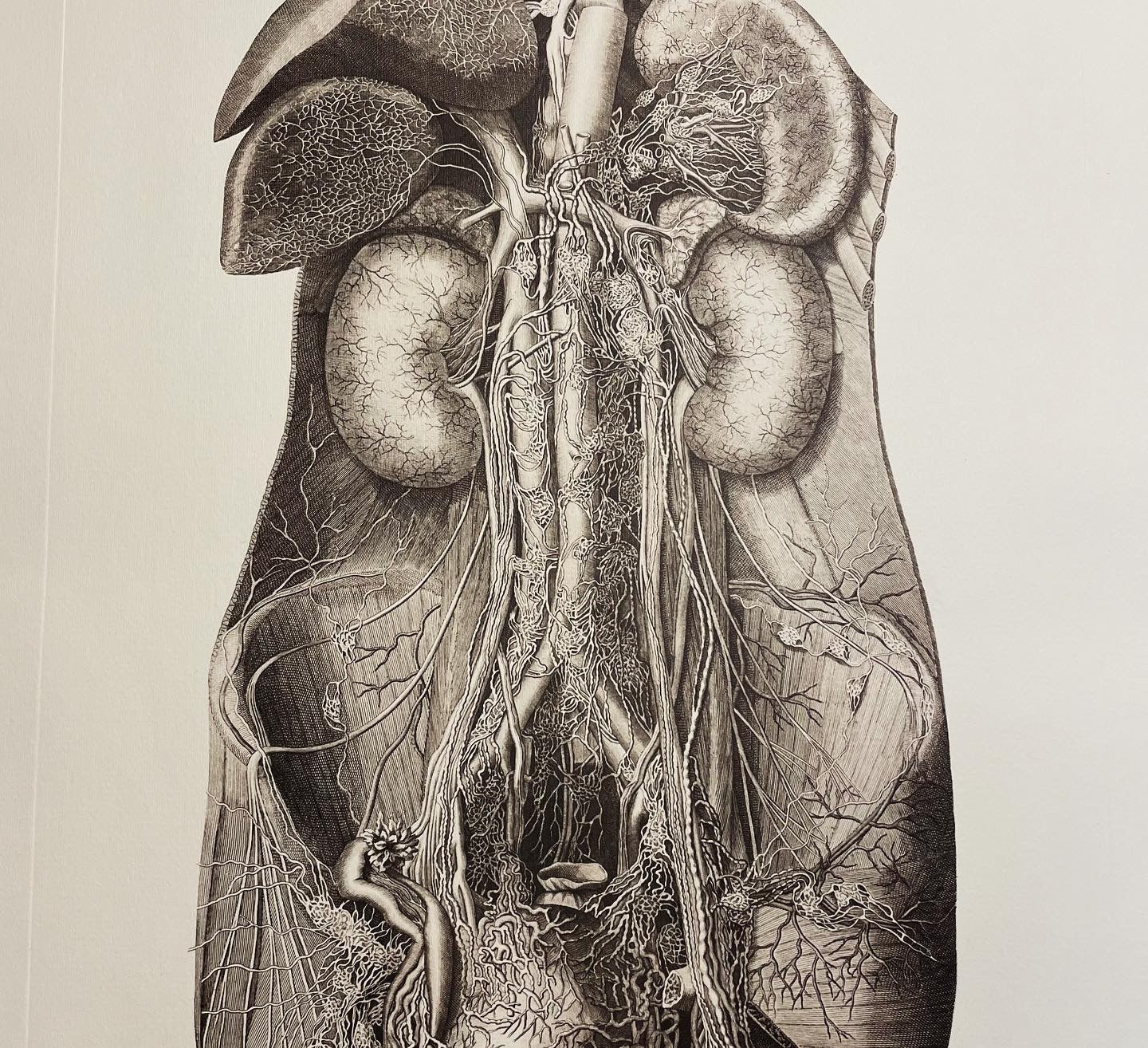 Anatomical tables